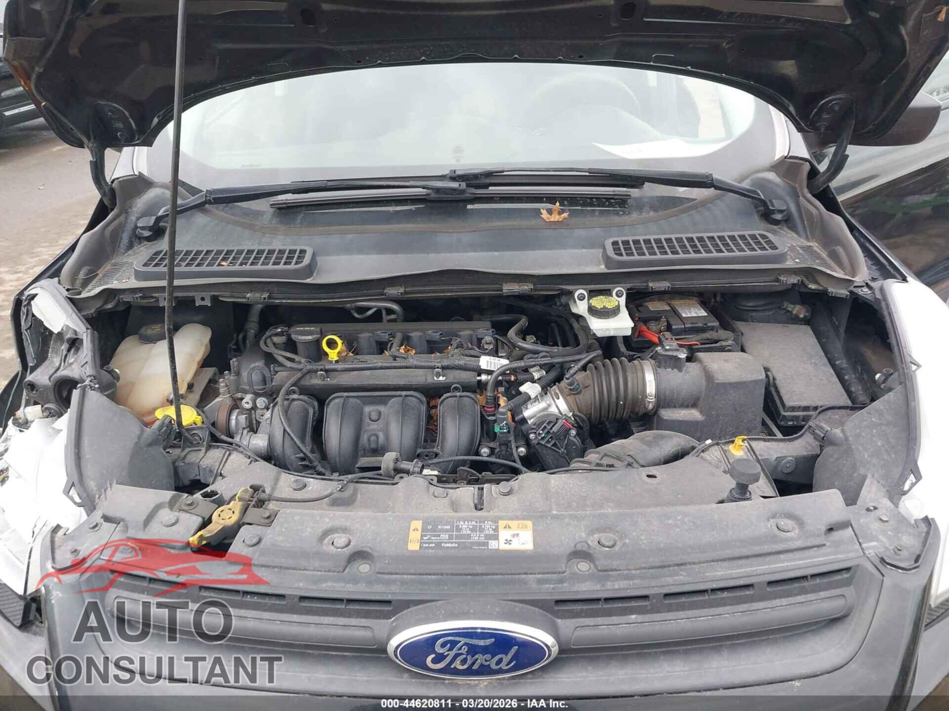 FORD ESCAPE 2014 - 1FMCU0F77EUE35891