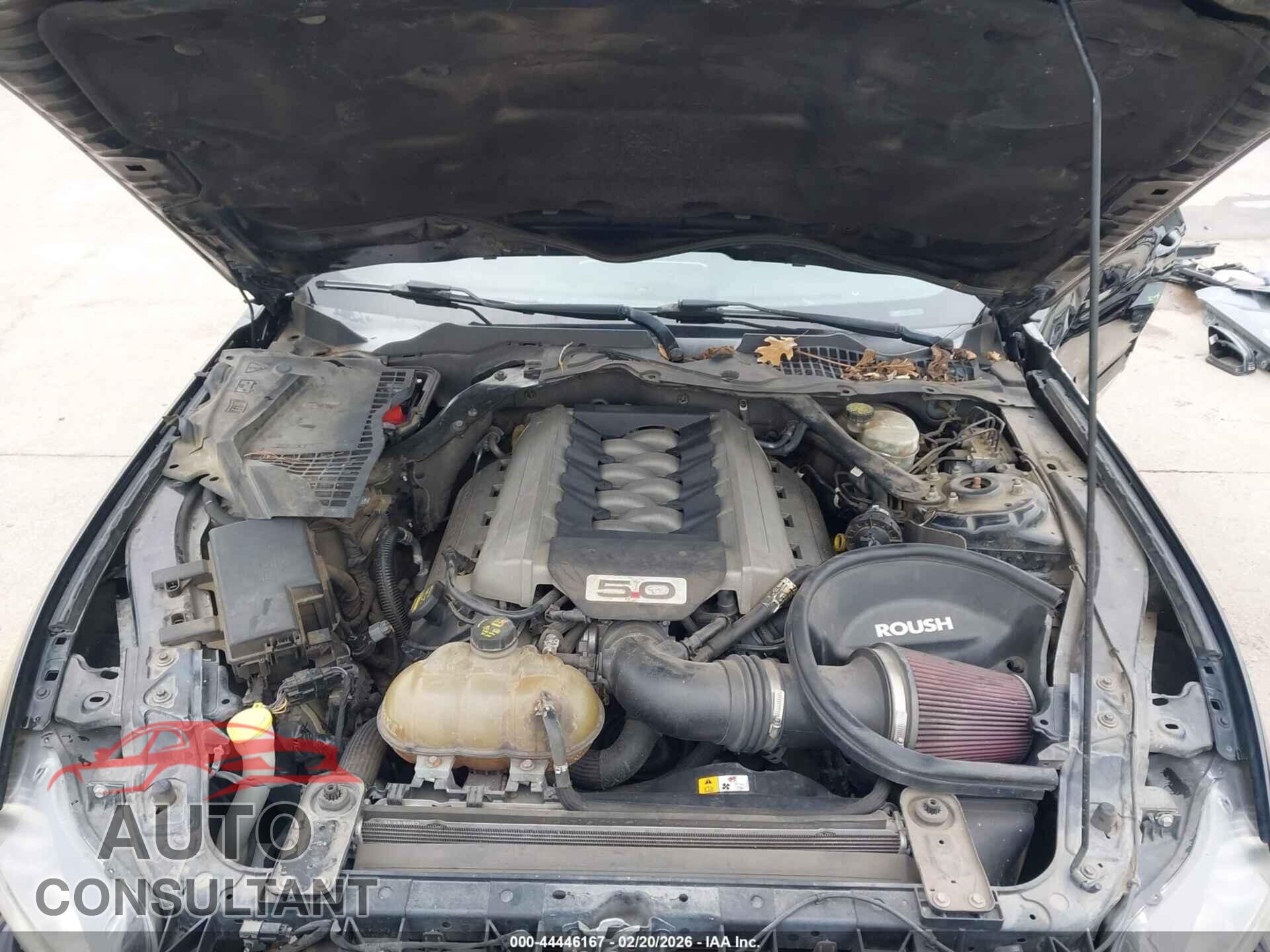 FORD MUSTANG 2015 - 1FA6P8CF7F5381240