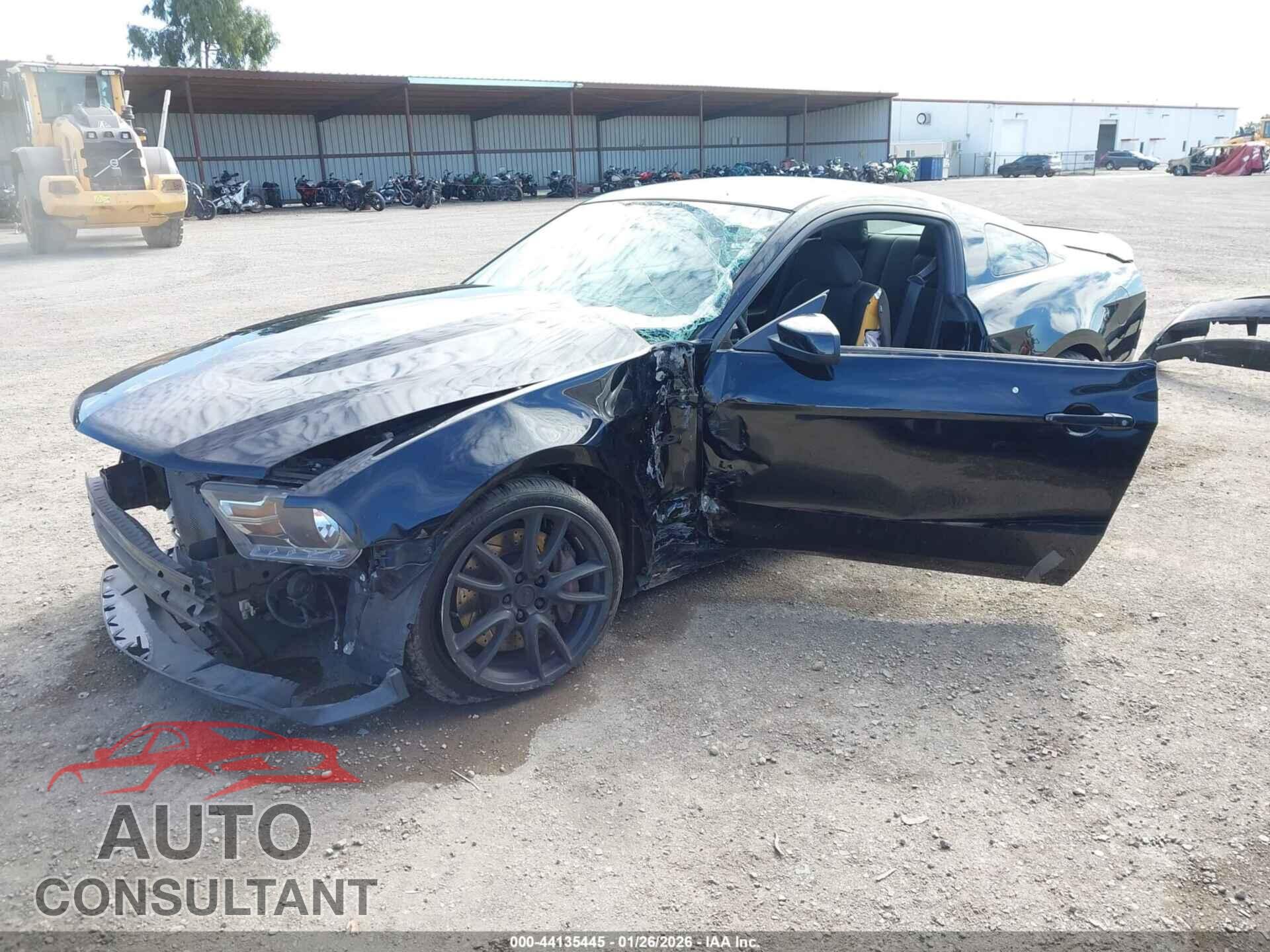 FORD MUSTANG 2012 - 1ZVBP8CF6C5206687