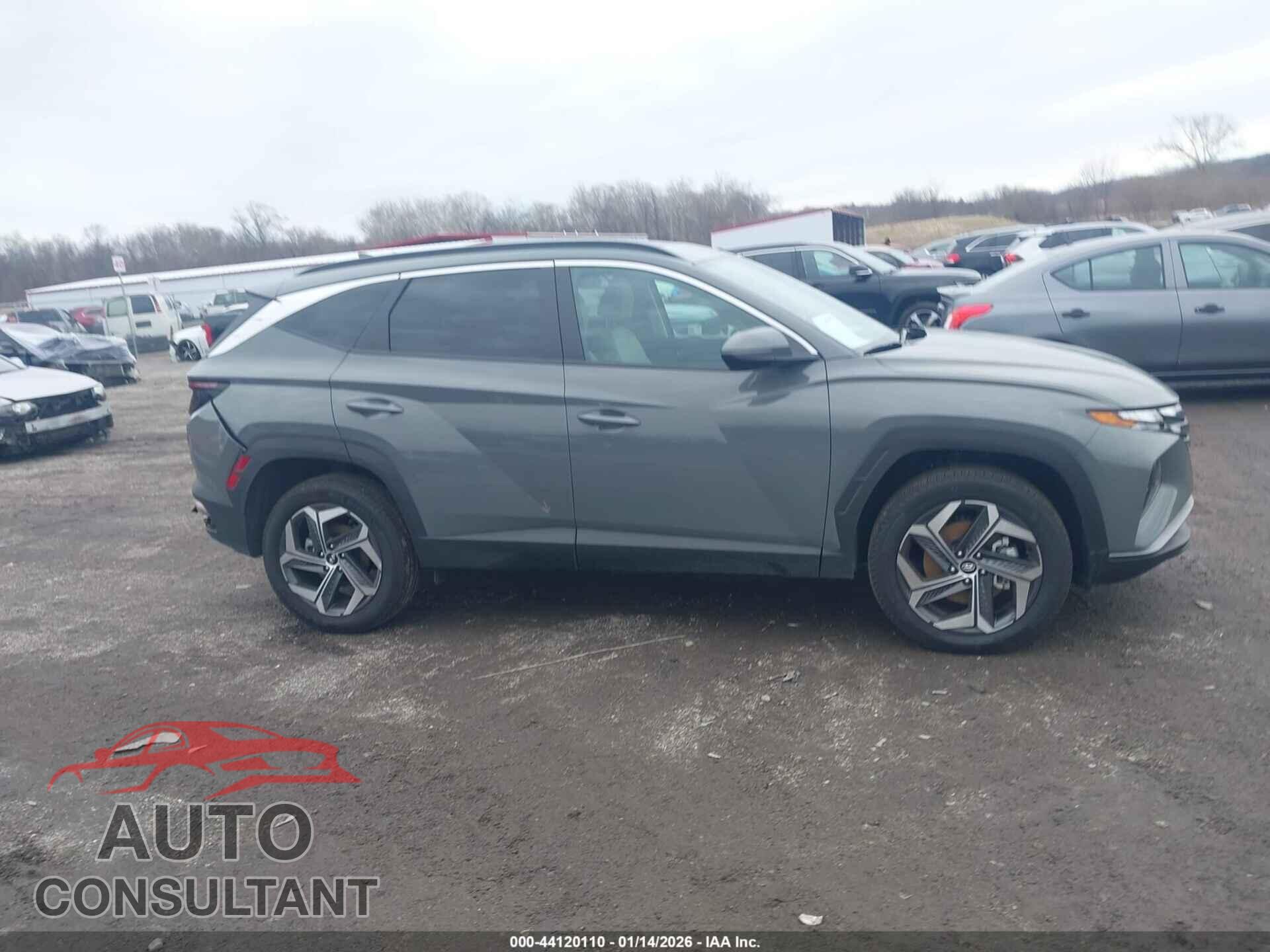 HYUNDAI TUCSON 2024 - 5NMJFCDE9RH395402