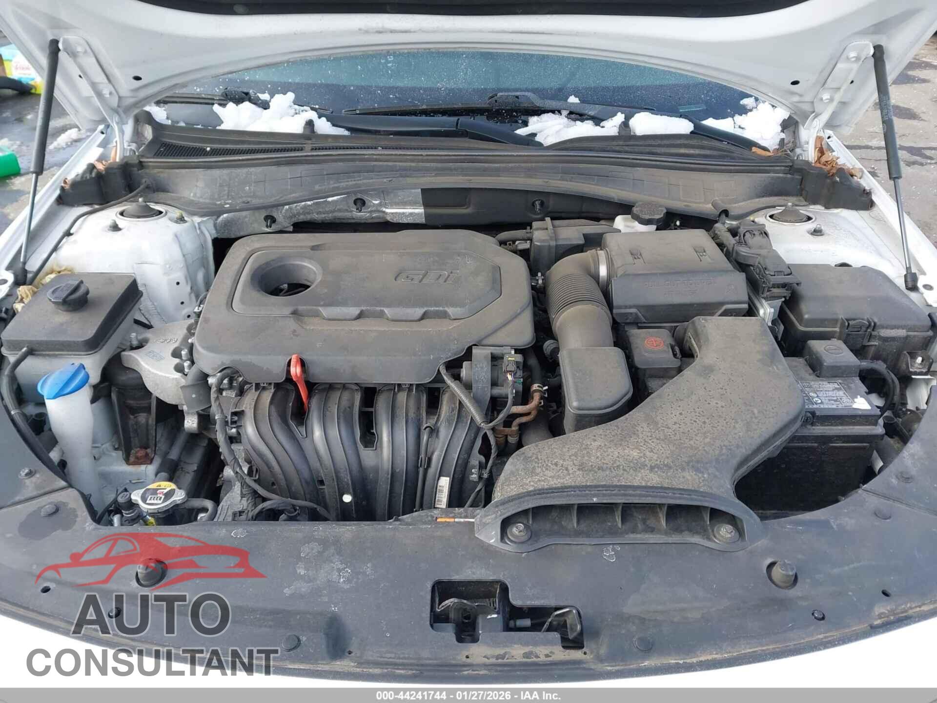 KIA OPTIMA 2019 - 5XXGT4L37KG350133