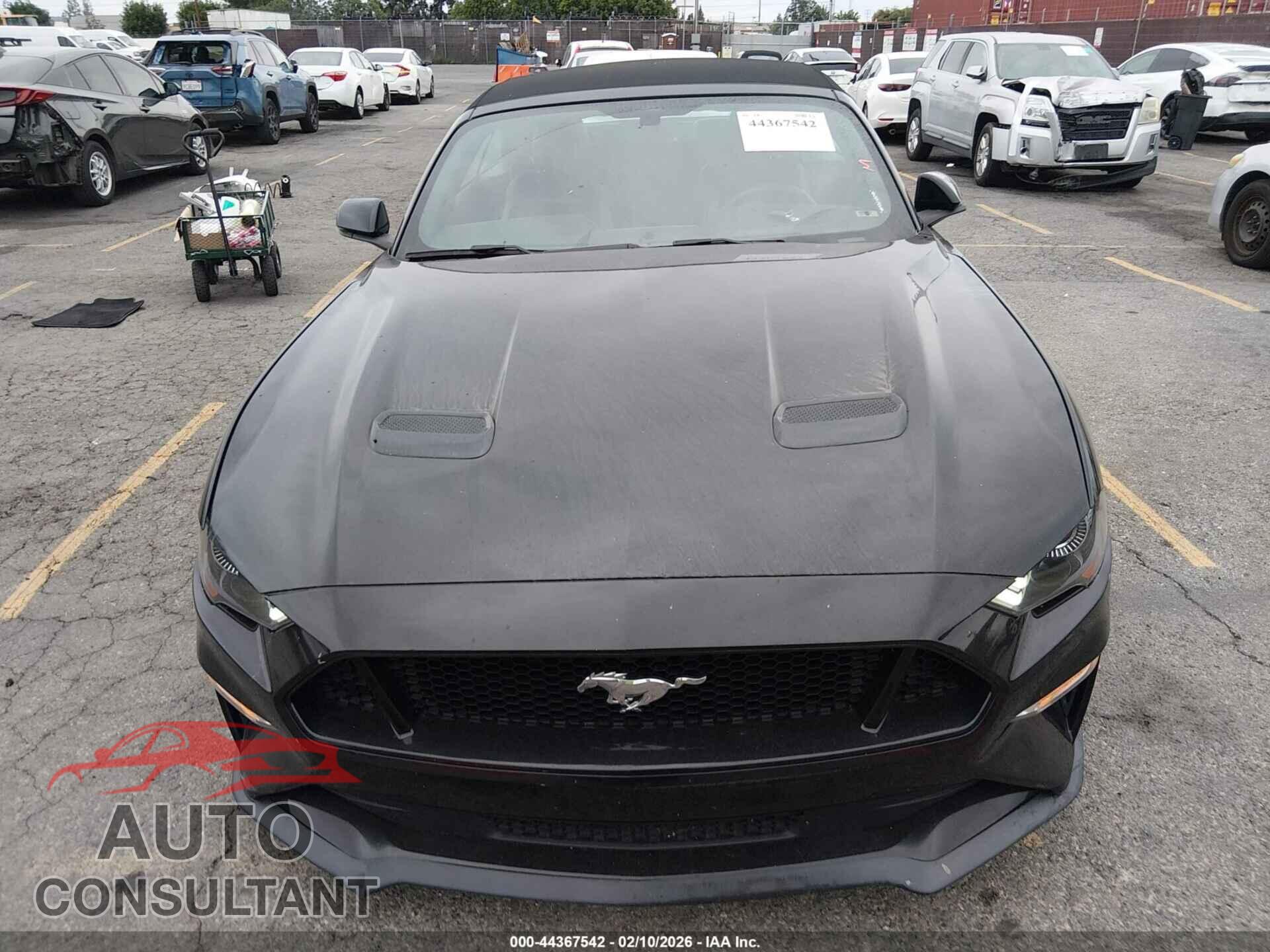 FORD MUSTANG 2019 - 1FATP8FF2K5182136