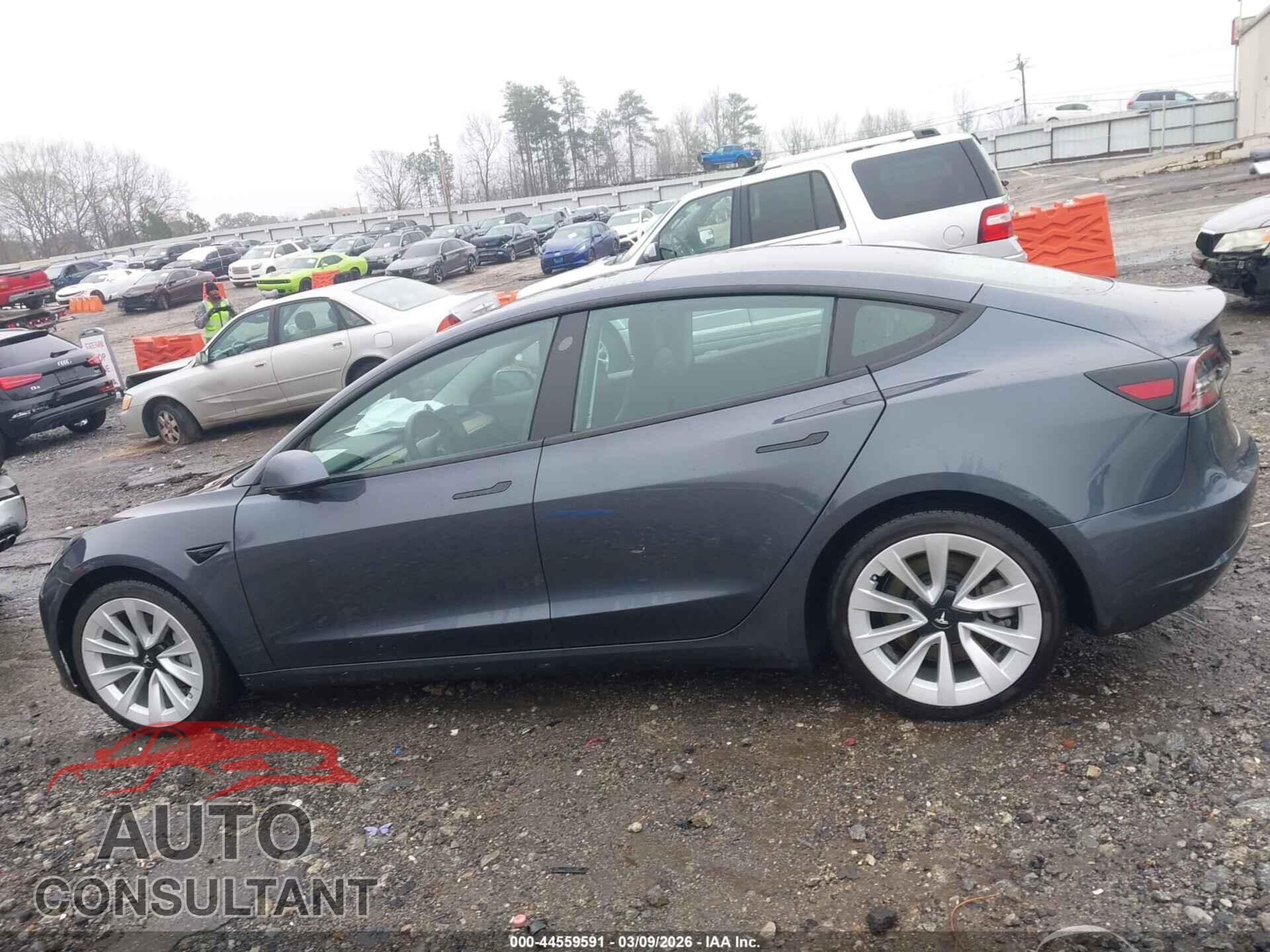 TESLA MODEL 3 2021 - 5YJ3E1EB9MF924281