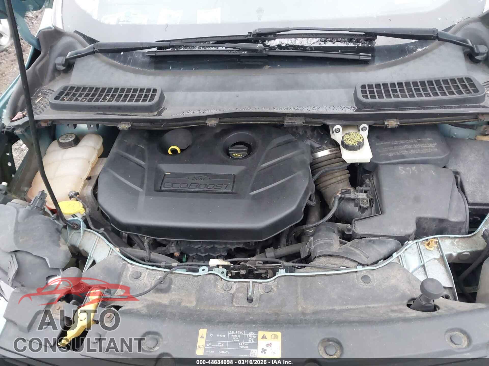 FORD ESCAPE 2013 - 1FMCU9G91DUD00151