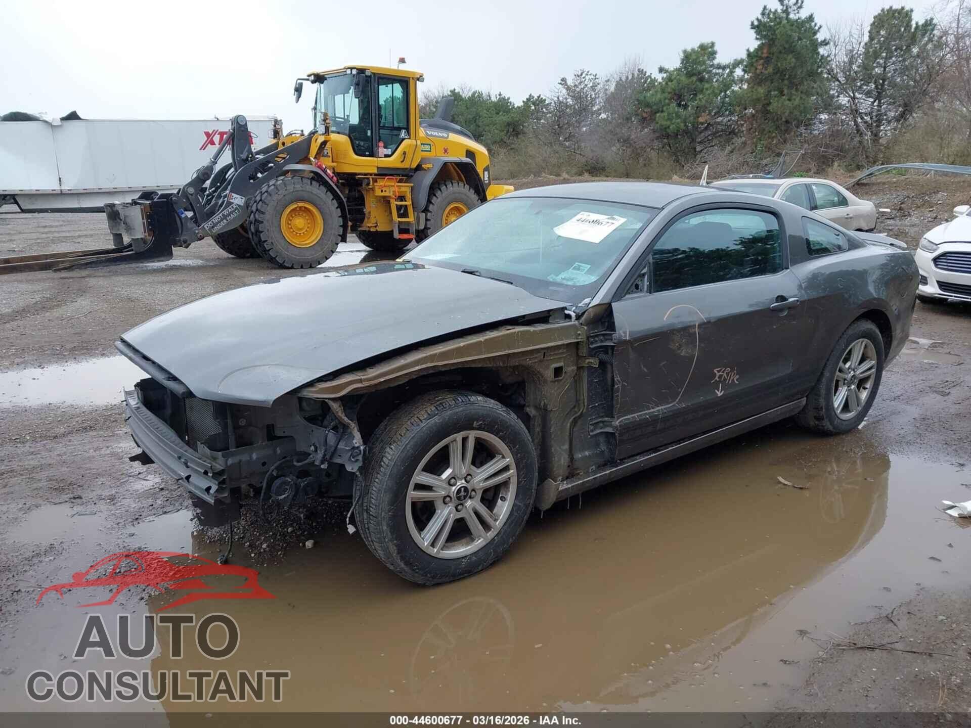 FORD MUSTANG 2013 - 1ZVBP8AM6D5226439