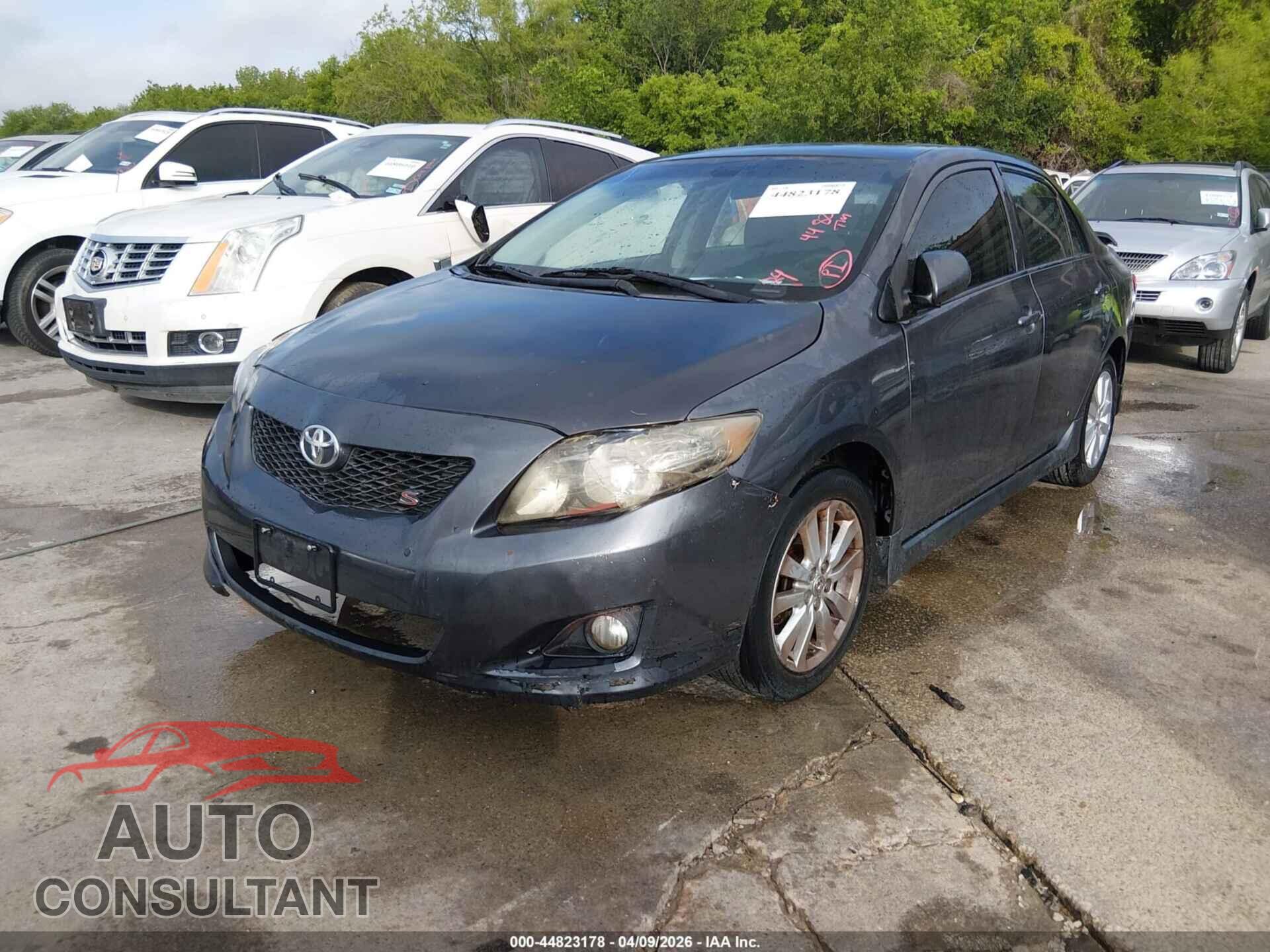 TOYOTA COROLLA 2009 - 2T1BU40E89C068002