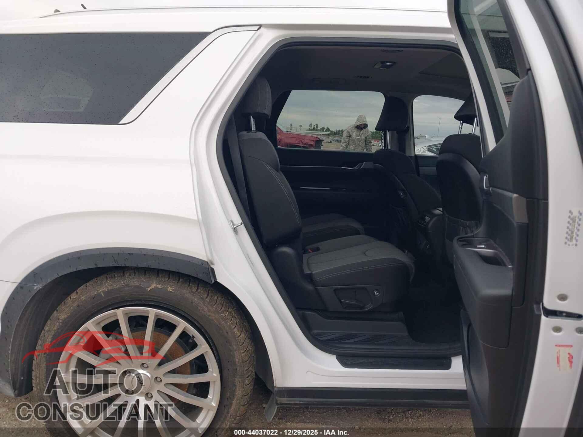HYUNDAI PALISADE 2020 - KM8R24HEXLU158251