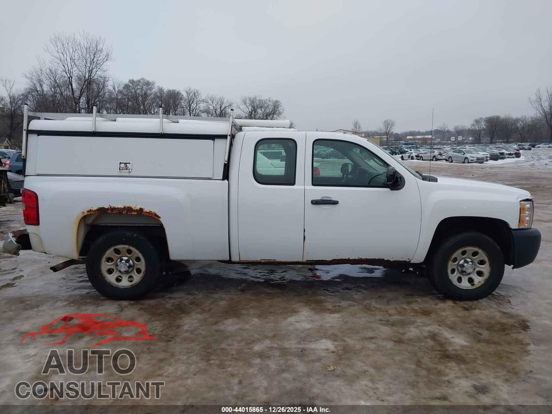CHEVROLET SILVERADO 1500 2010 - 1GCSKPEA0AZ195236