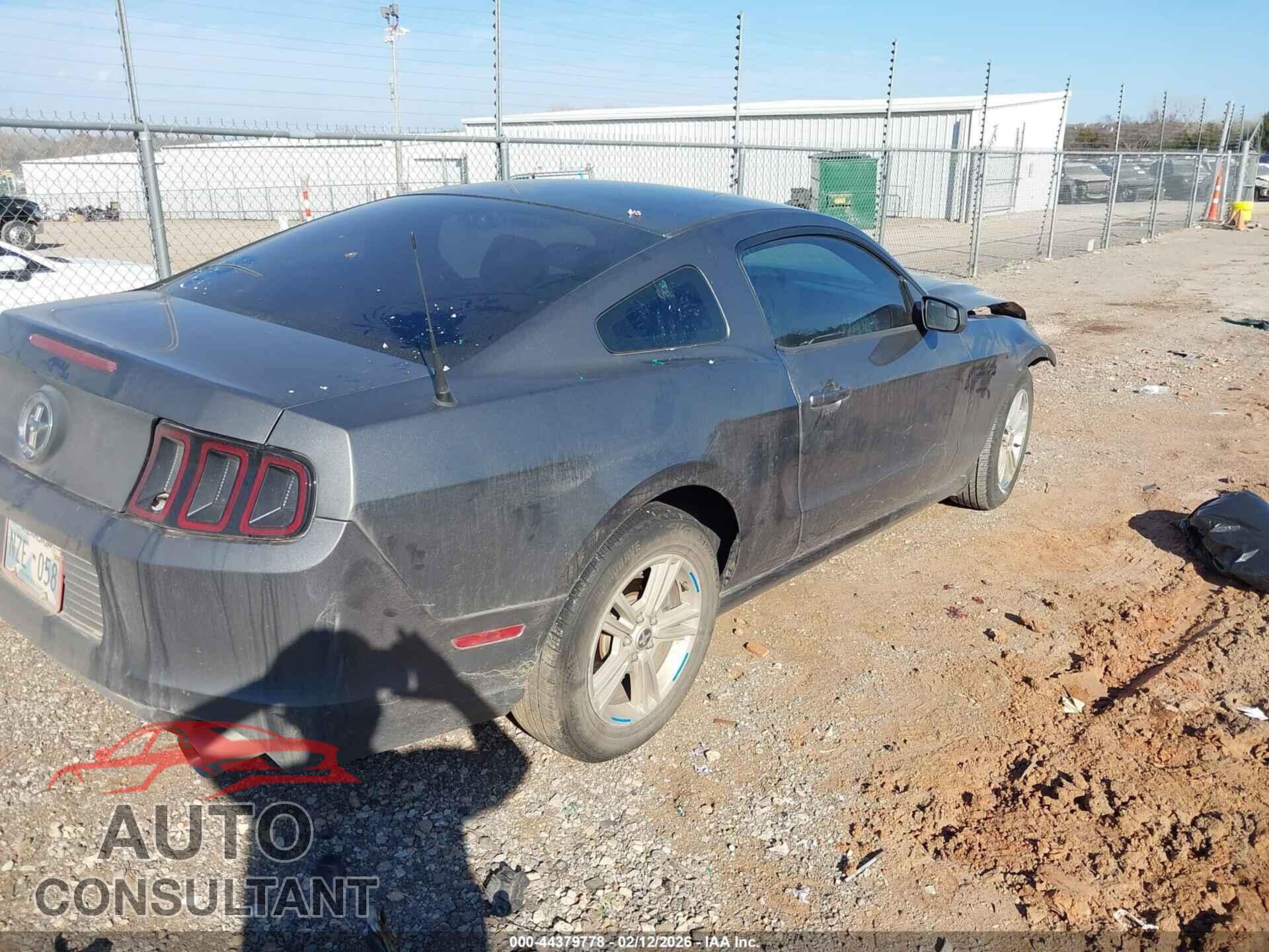 FORD MUSTANG 2013 - 1ZVBP8AM1D5264337