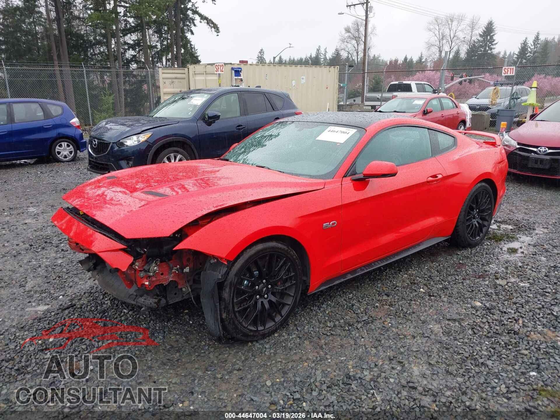 FORD MUSTANG 2019 - 1FA6P8CF7K5163731