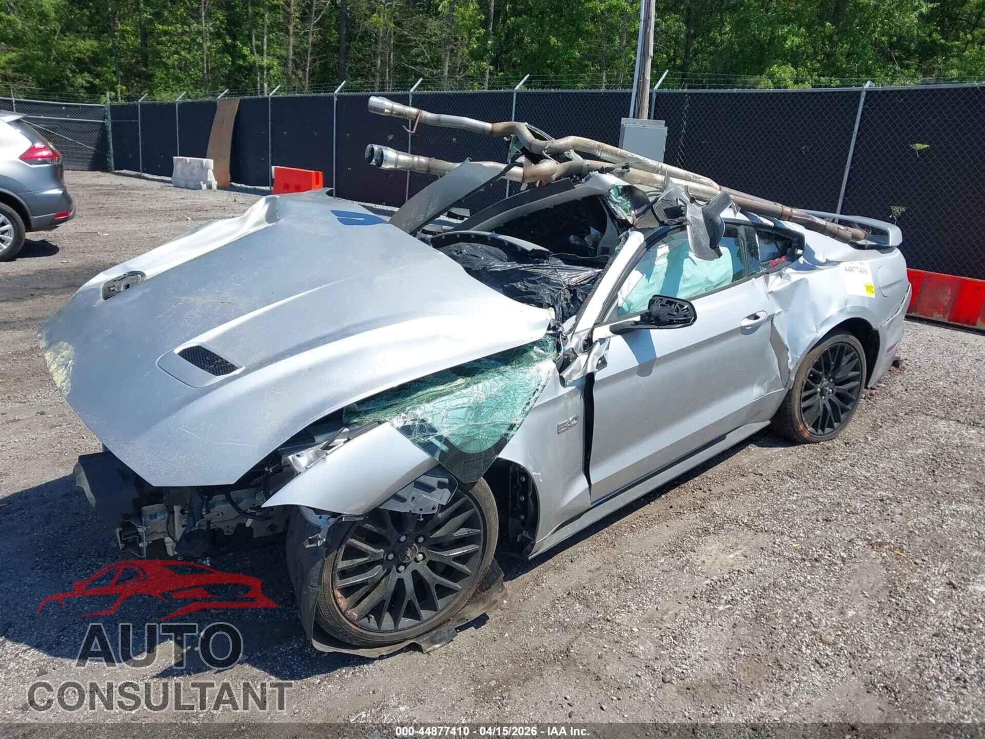 FORD MUSTANG 2019 - 1FA6P8CF5K5117346