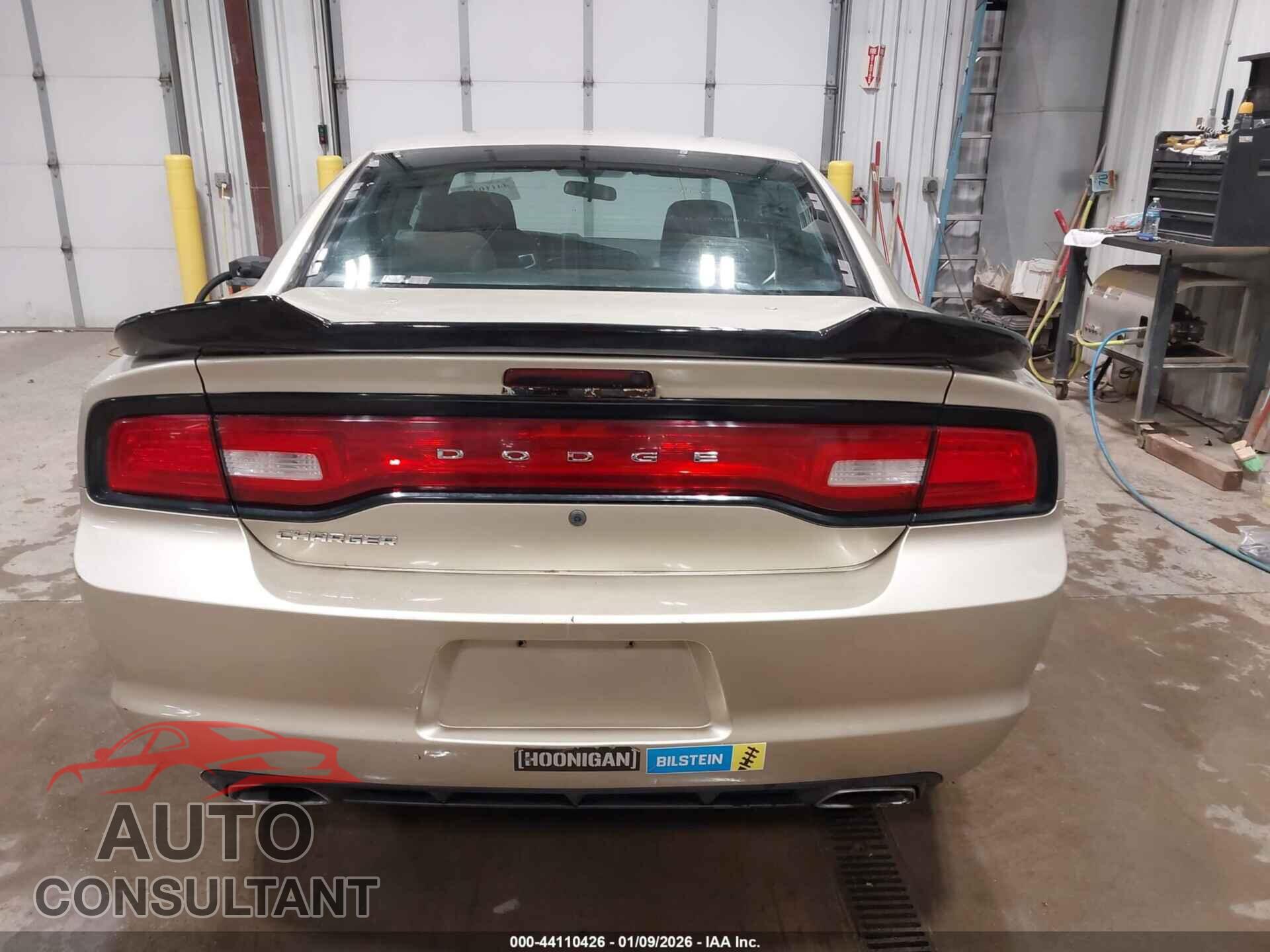 DODGE CHARGER 2013 - 2C3CDXAT3DH620107
