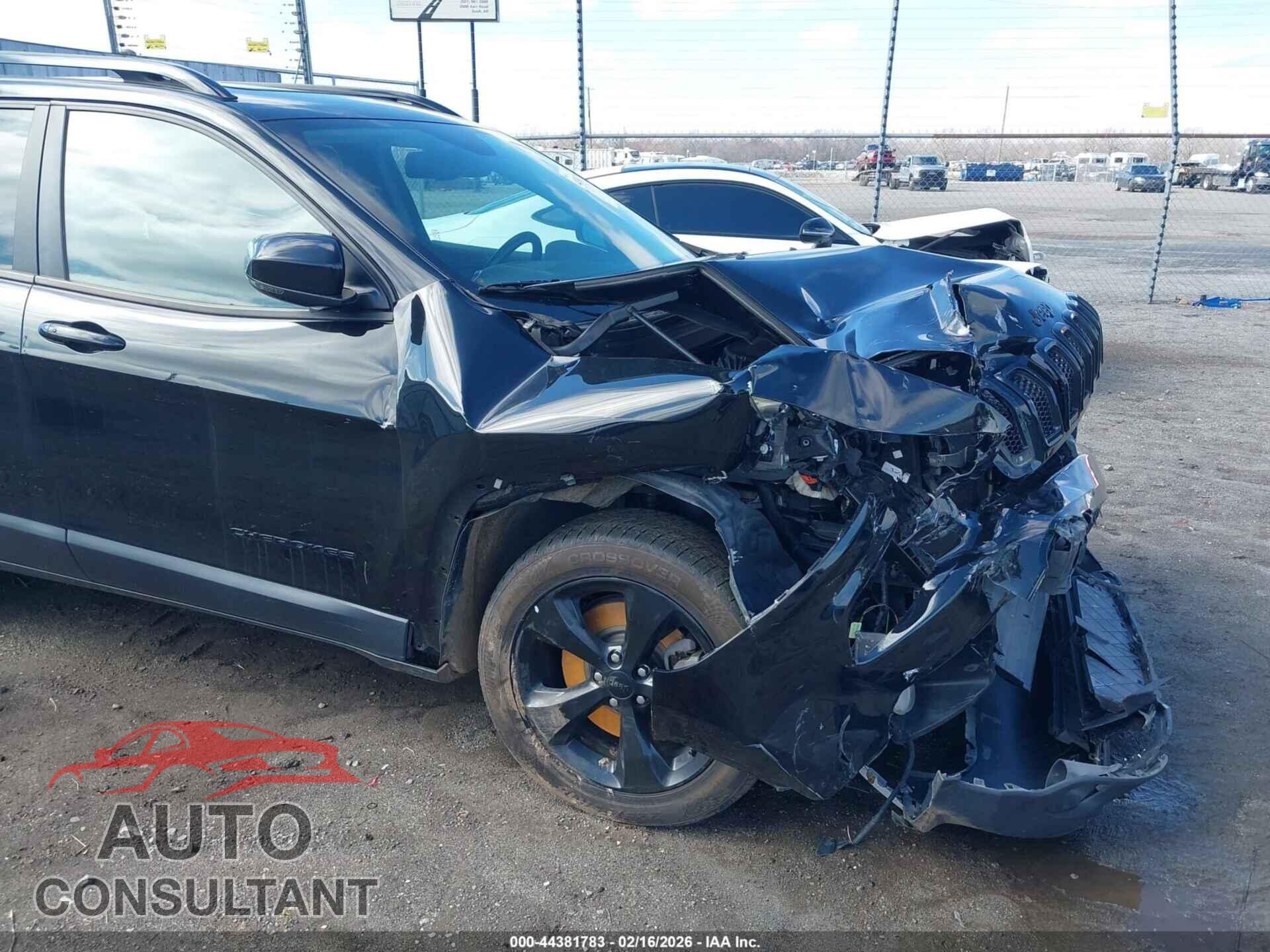 JEEP CHEROKEE 2017 - 1C4PJLDB9HW559127