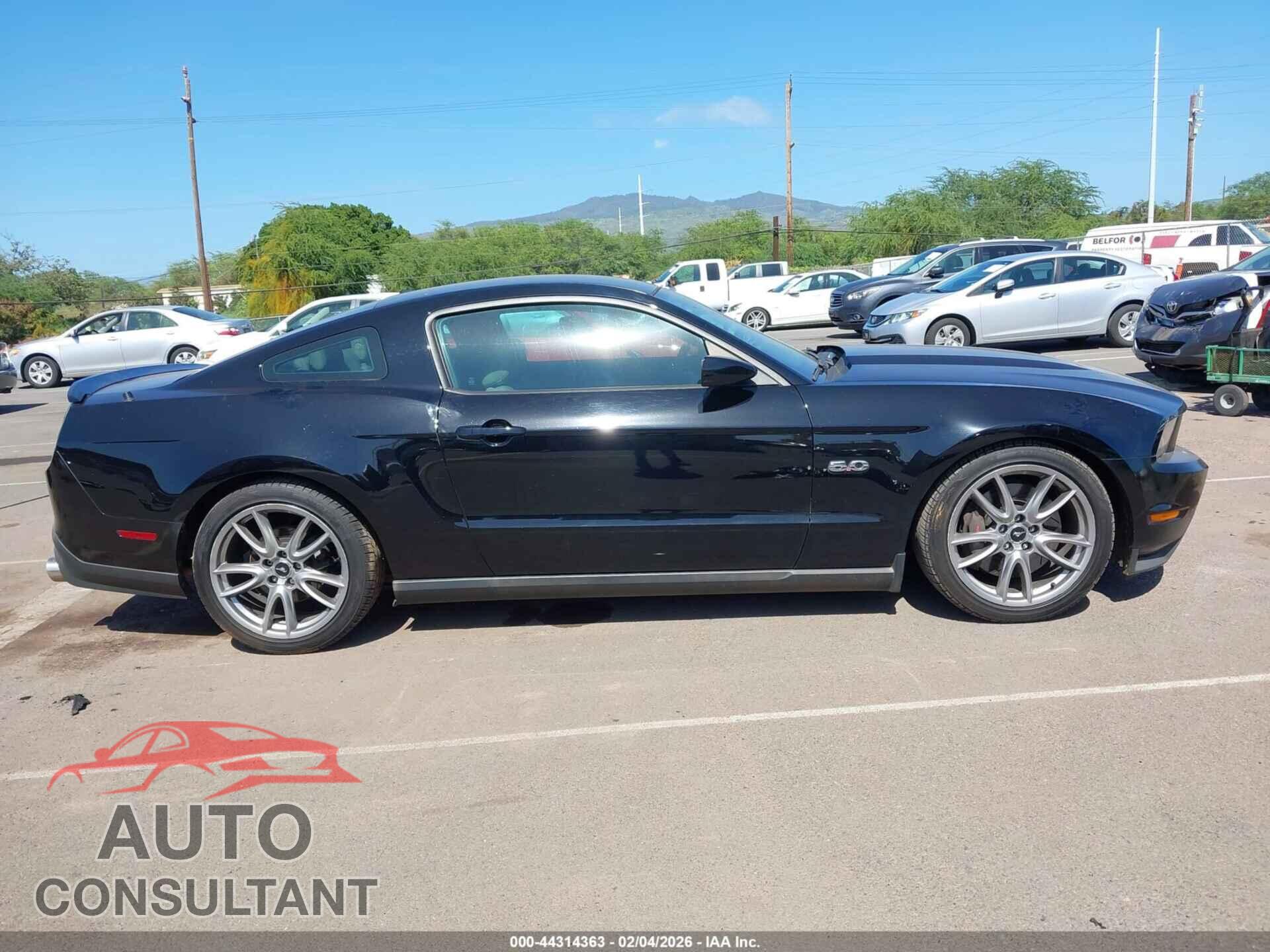 FORD MUSTANG 2012 - 1ZVBP8CF7C5229363