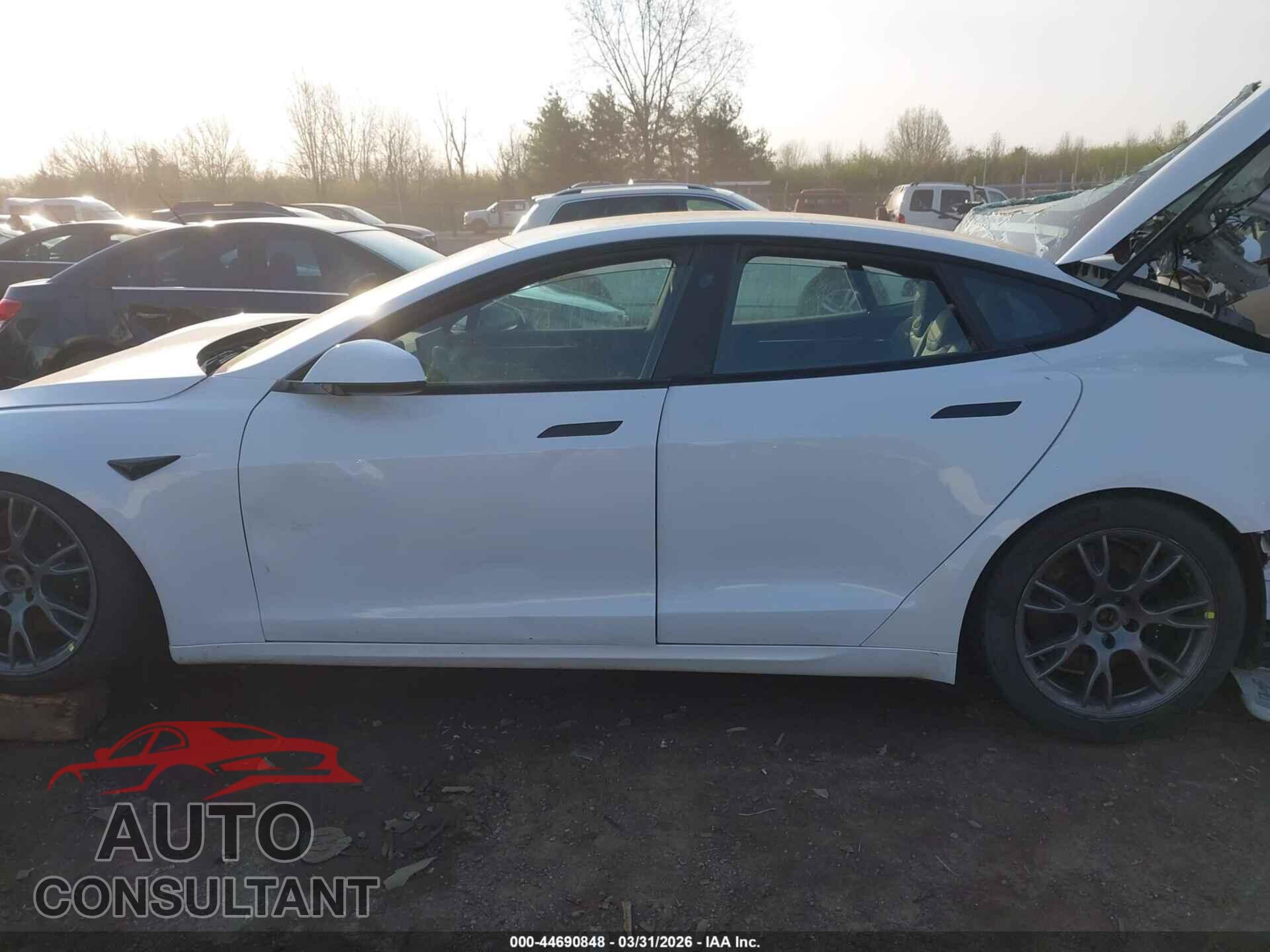 TESLA MODEL S 2021 - 5YJSA1E59MF442069