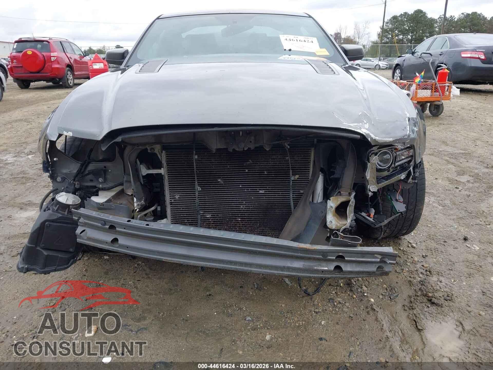 FORD MUSTANG 2013 - 1ZVBP8CF9D5229155
