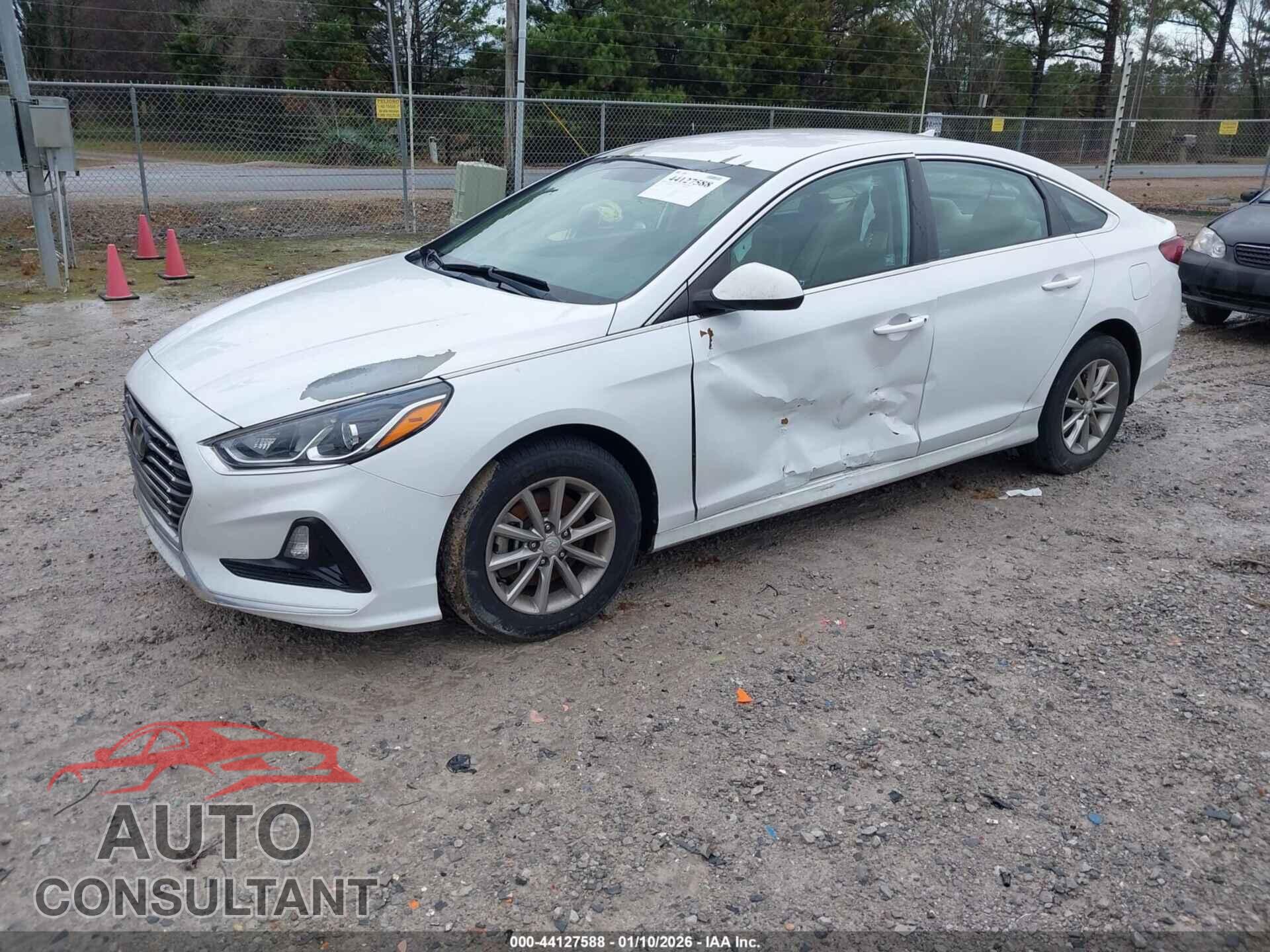 HYUNDAI SONATA 2019 - 5NPE24AF2KH819219