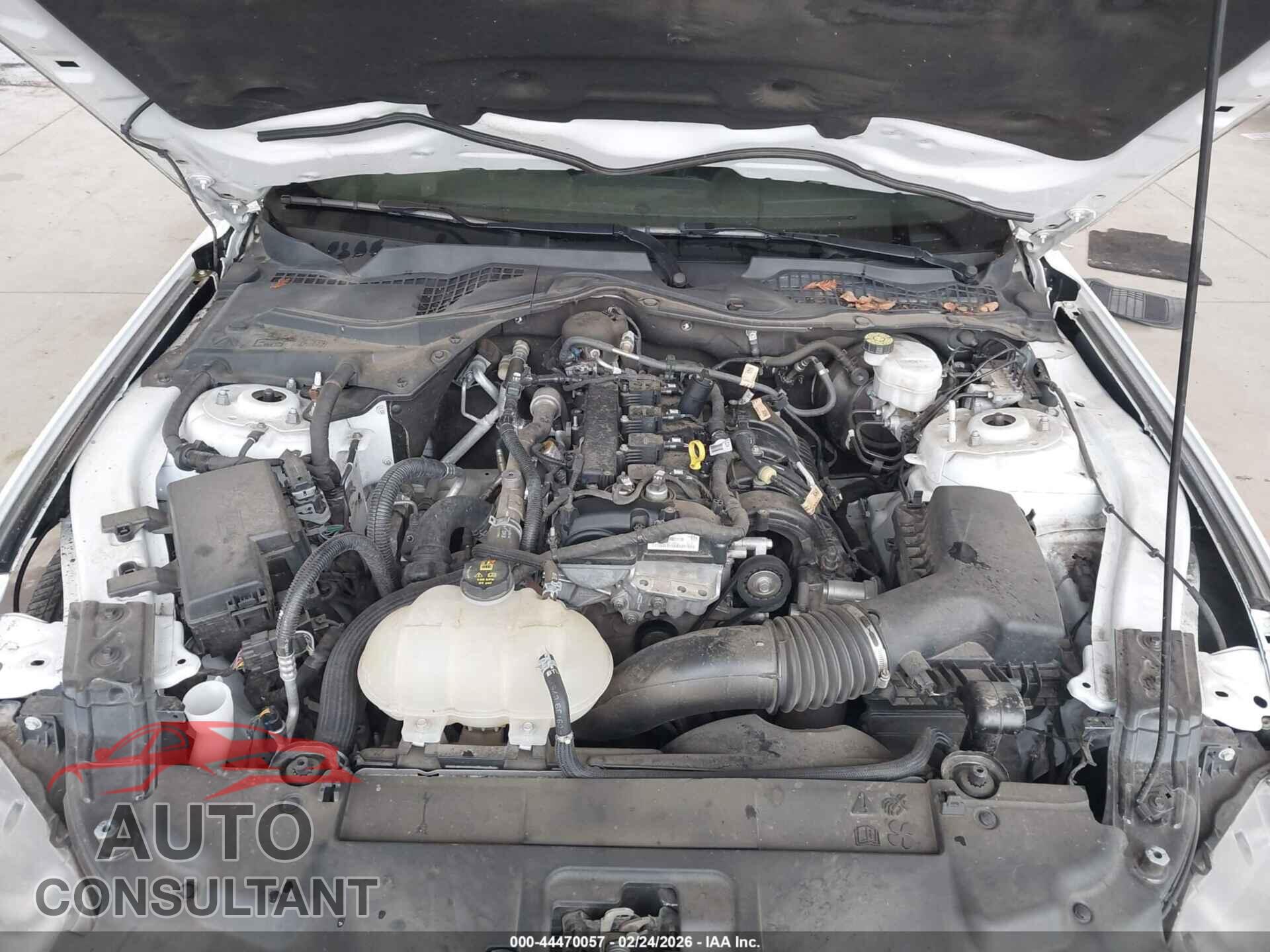 FORD MUSTANG 2021 - 1FA6P8TH8M5147350