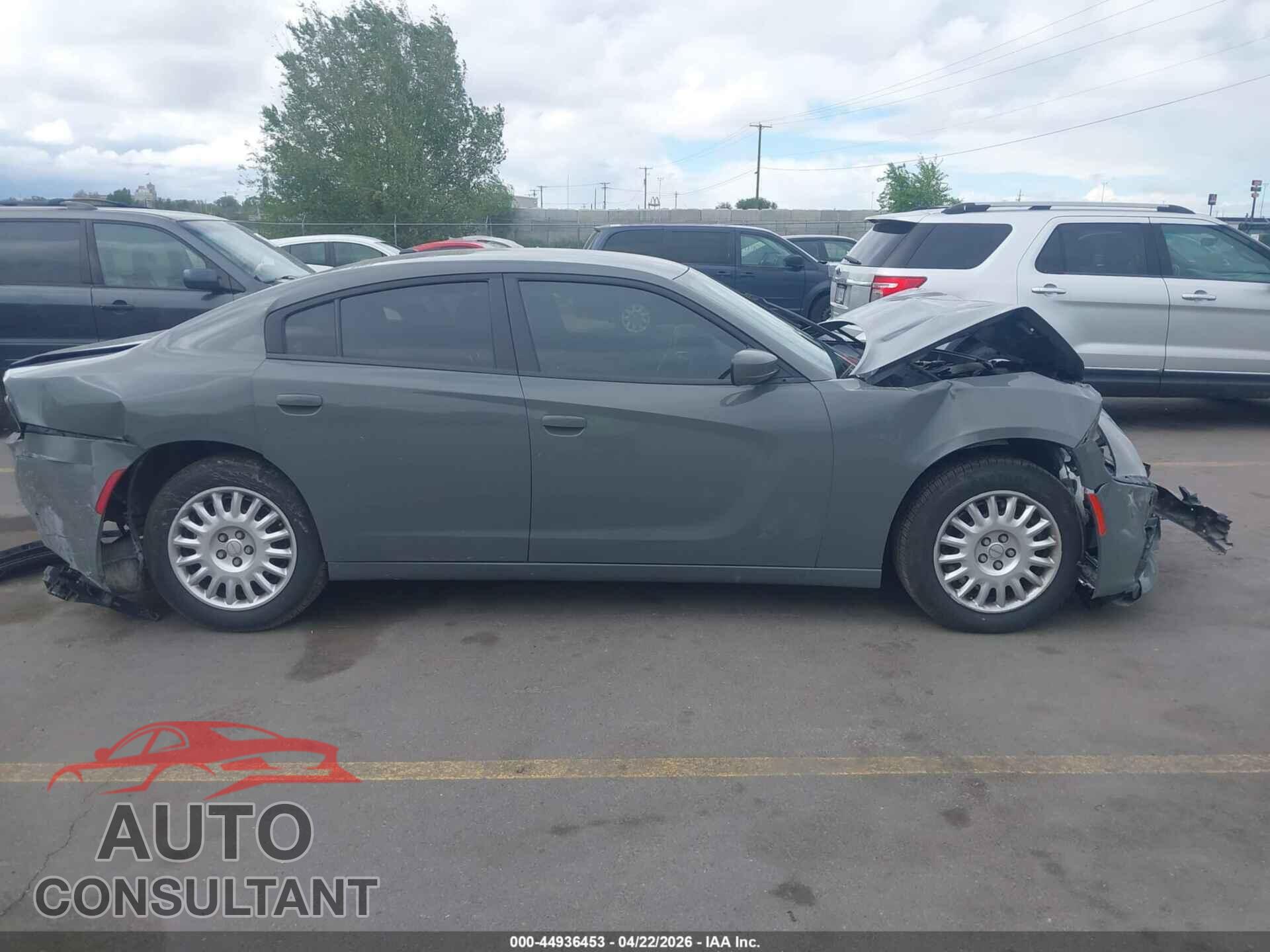 DODGE CHARGER 2019 - 2C3CDXKT7KH647788