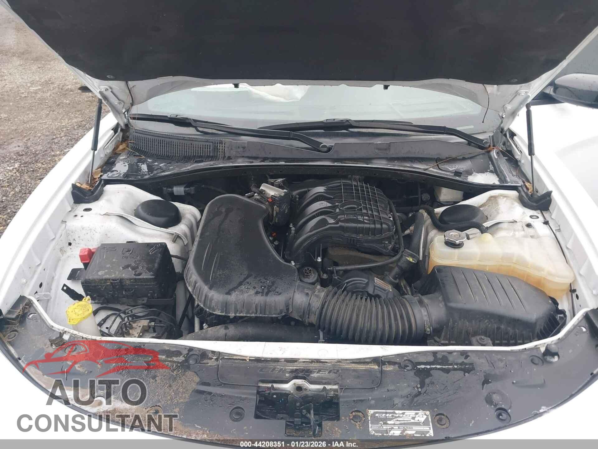 DODGE CHARGER 2023 - 2C3CDXHG9PH701951