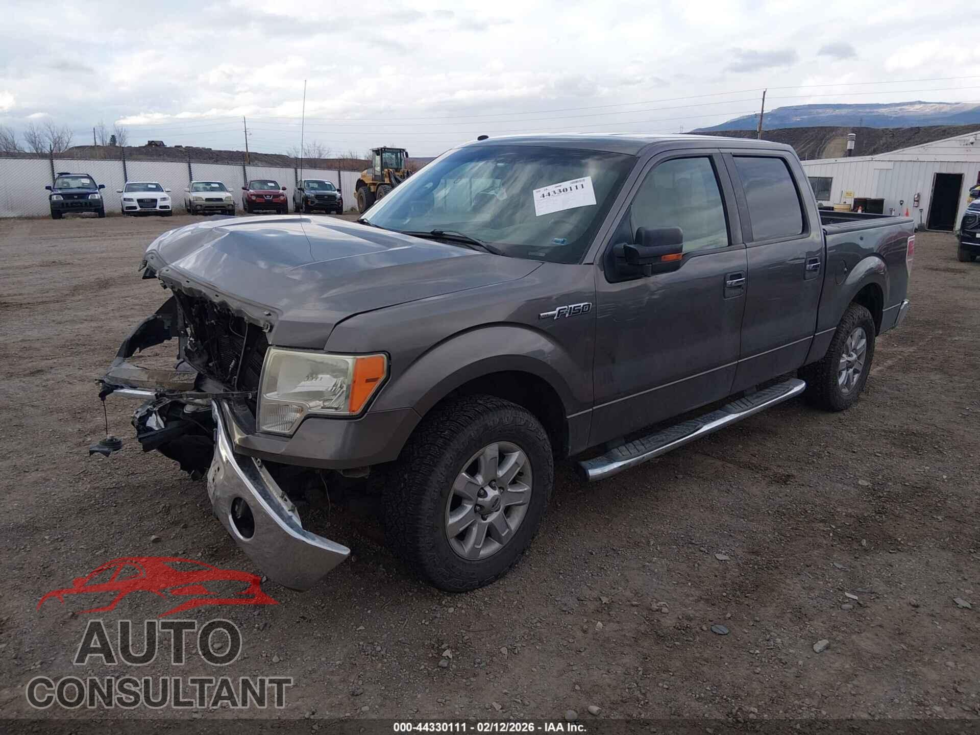 FORD F-150 2010 - 1FTEW1C86AFB95001