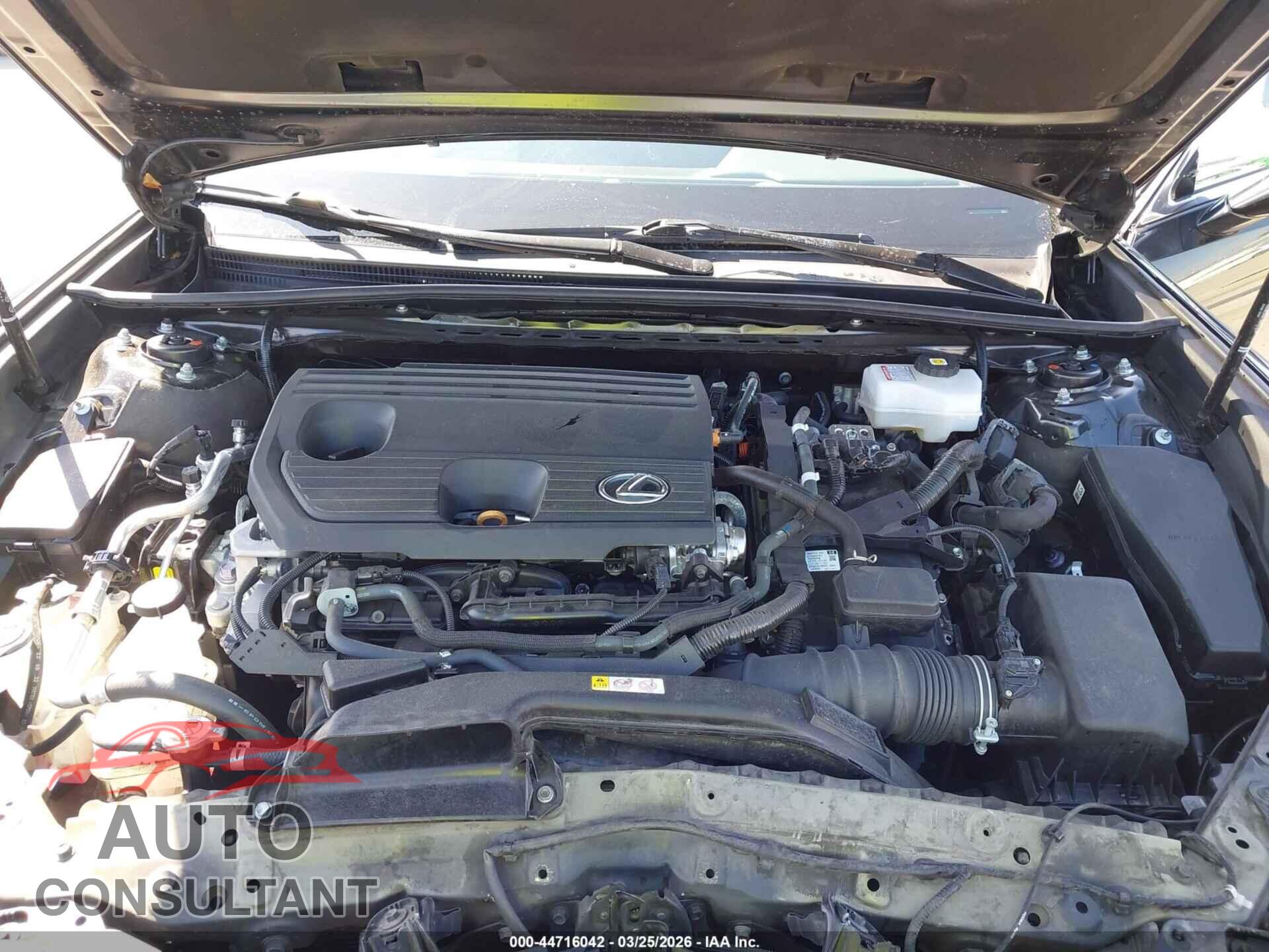 LEXUS ES 300H 2023 - 58ADA1C1XPU033443