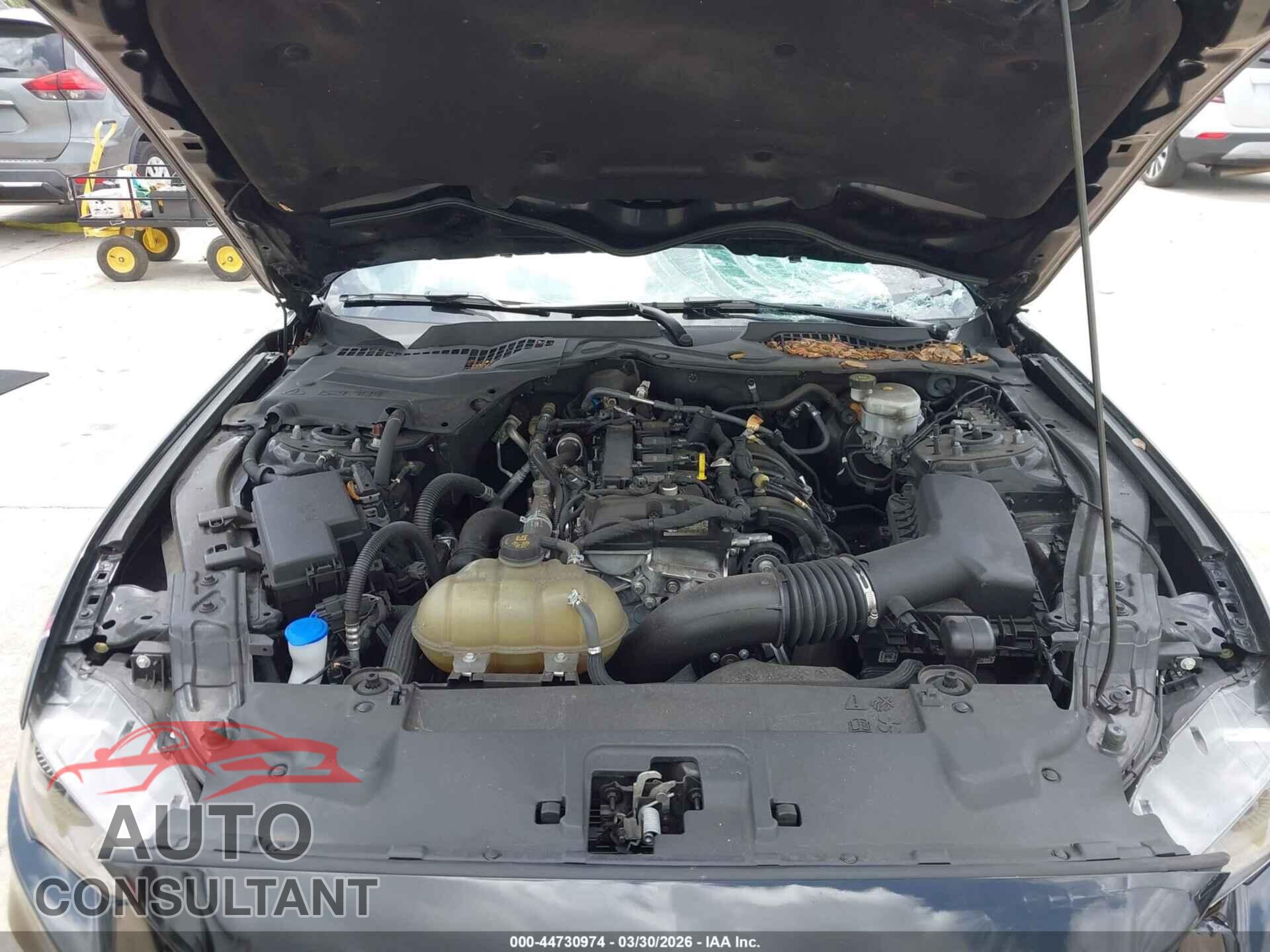 FORD MUSTANG 2022 - 1FA6P8TH7N5121744