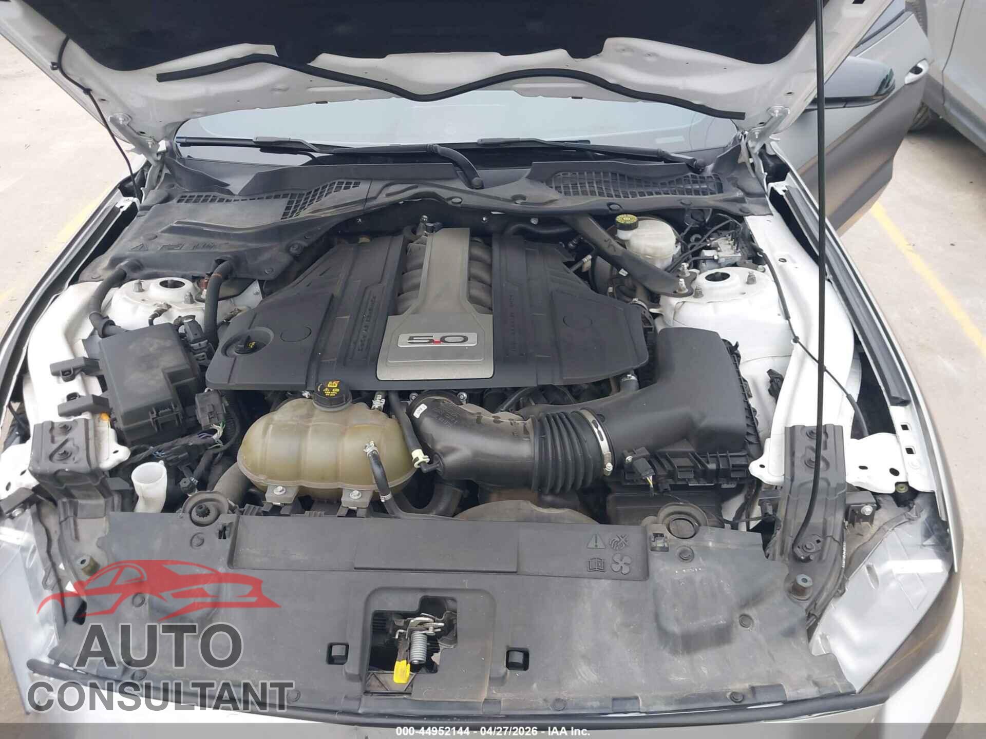 FORD MUSTANG 2020 - 1FA6P8CF2L5191776