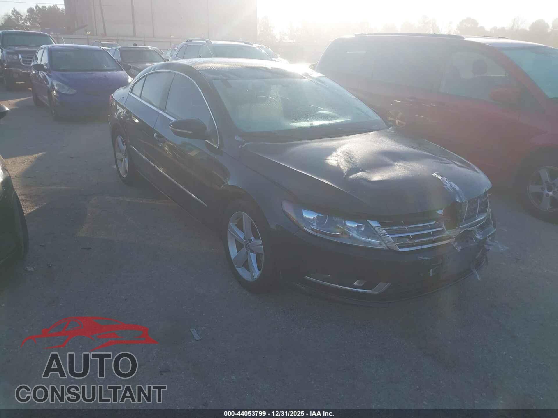 VOLKSWAGEN CC 2013 - WVWBN7AN2DE510050
