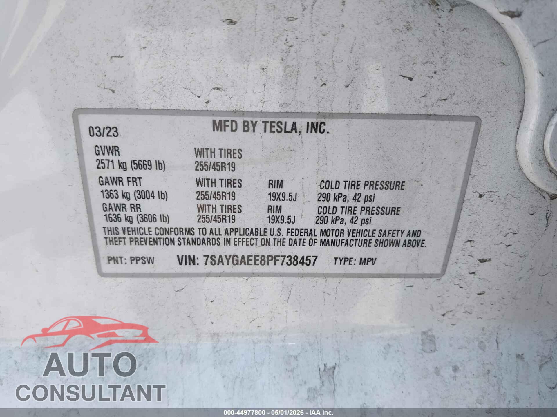 TESLA MODEL Y 2023 - 7SAYGAEE8PF738457