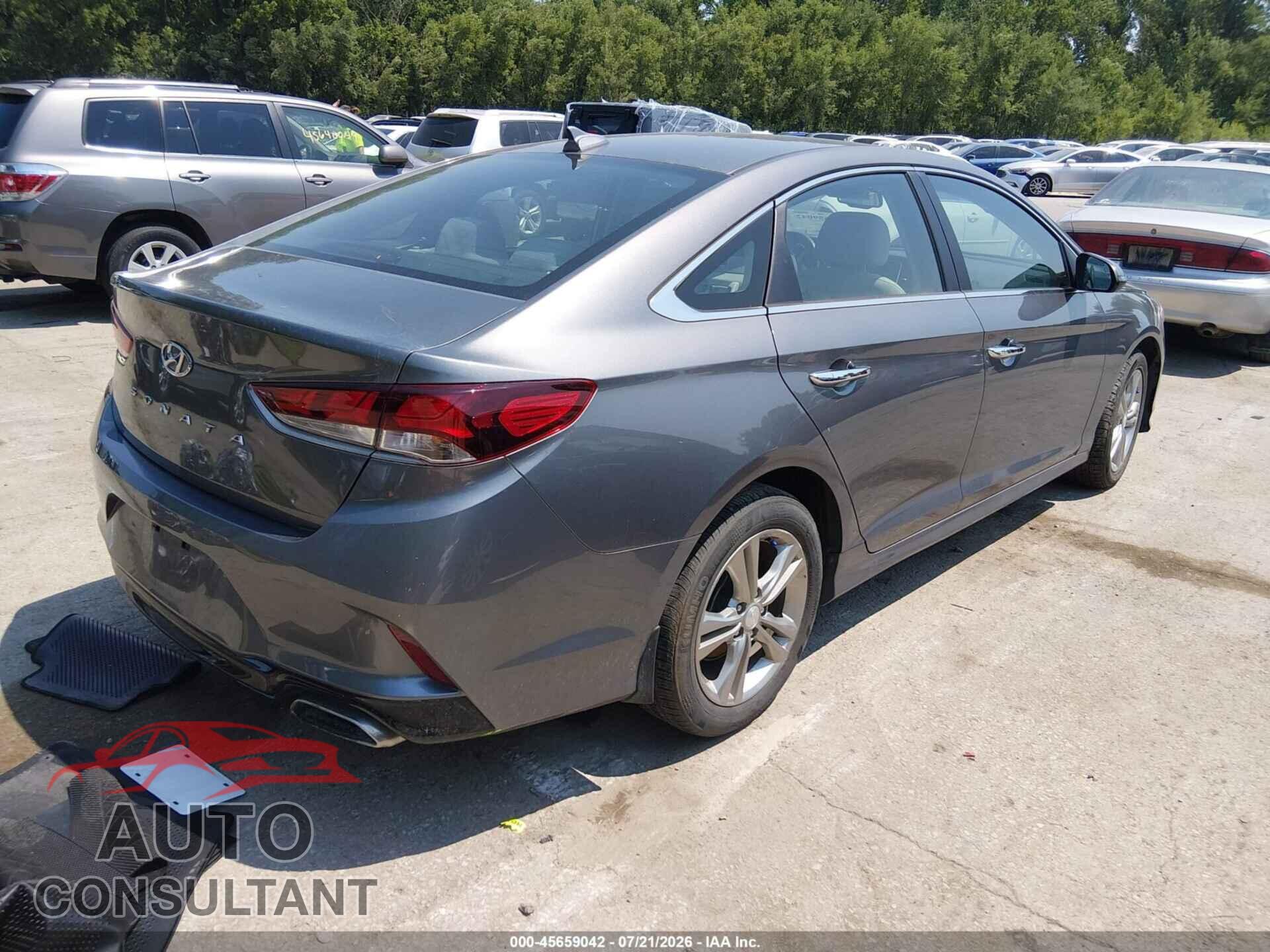 HYUNDAI SONATA 2019 - 5NPE34AF3KH799186