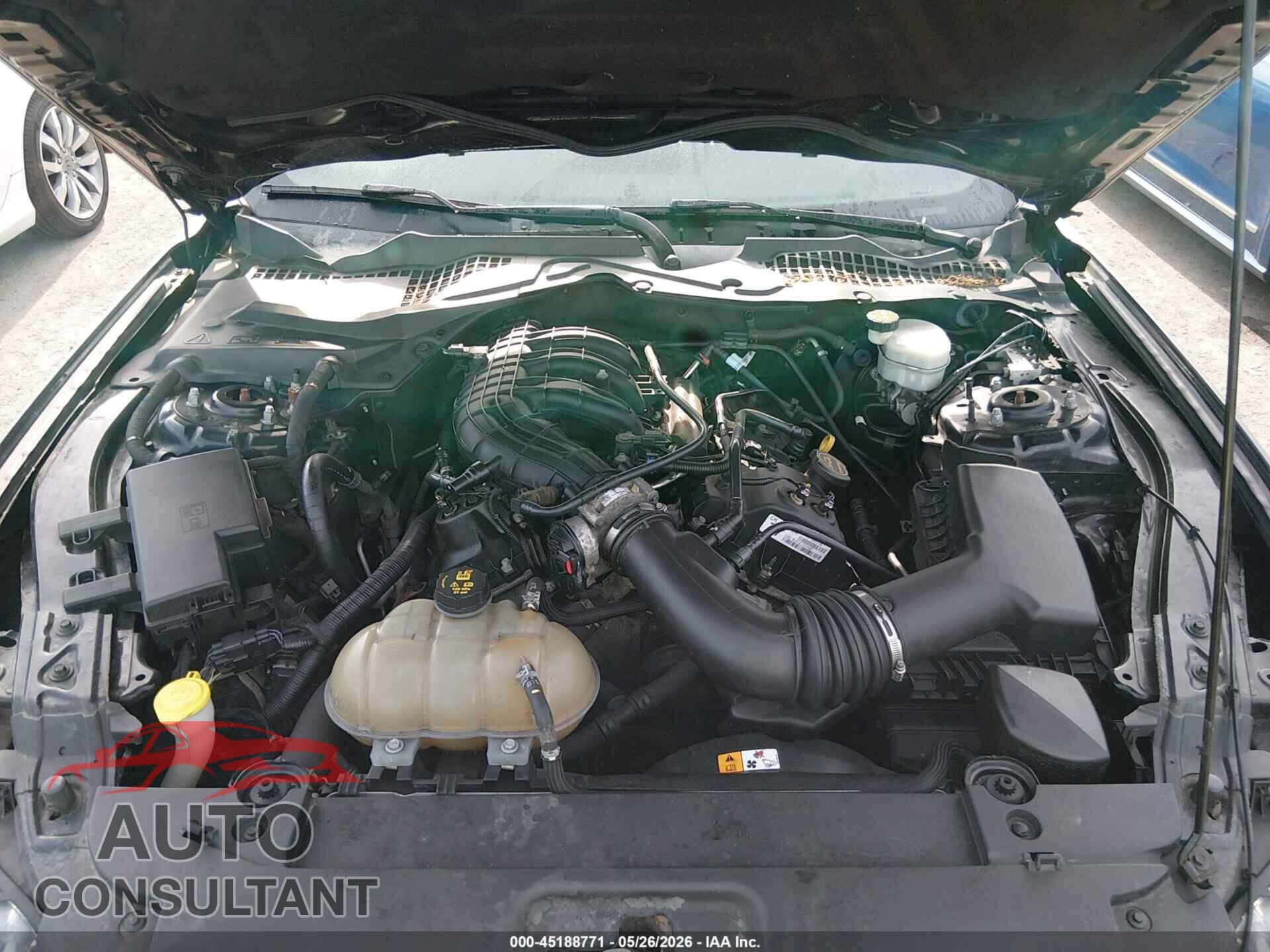 FORD MUSTANG 2017 - 1FA6P8AM0H5230504