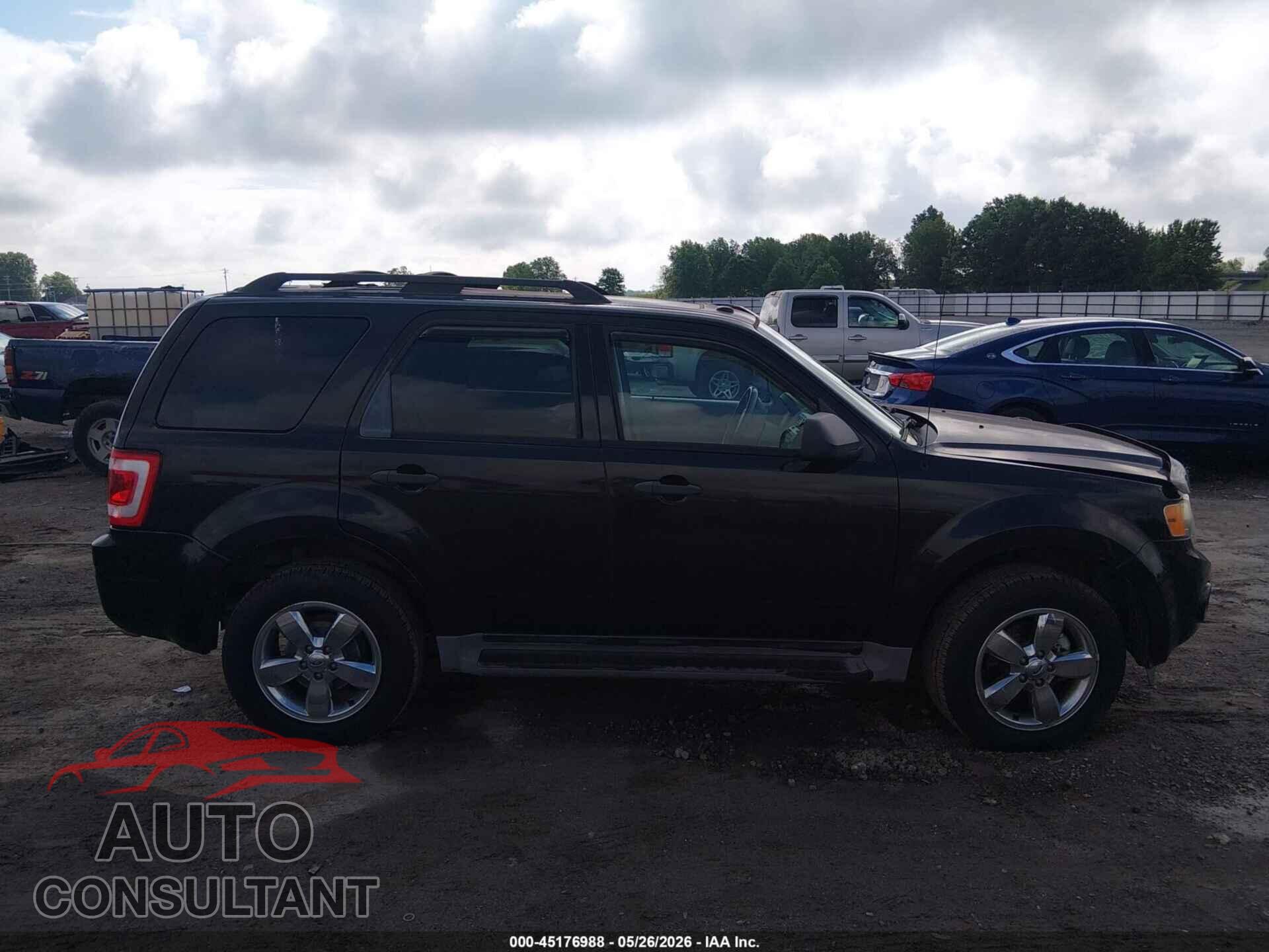 FORD ESCAPE 2011 - 1FMCU9DG2BKB20513
