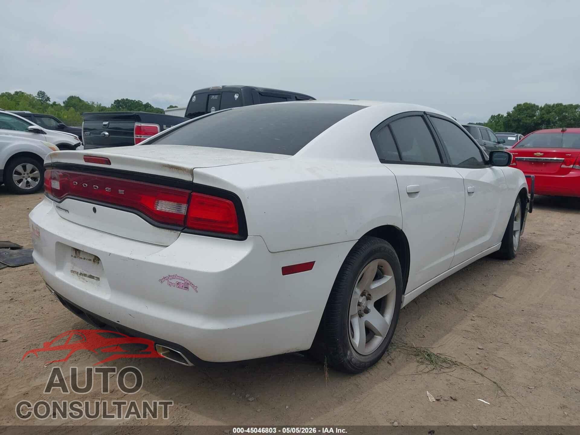 DODGE CHARGER 2013 - 2C3CDXAT7DH721778