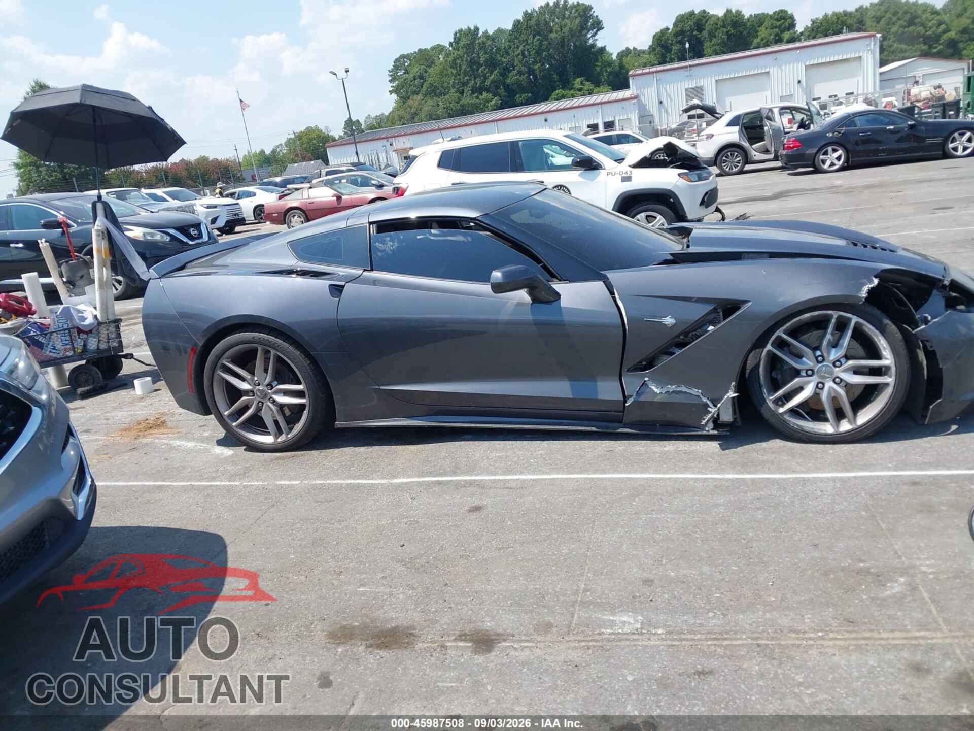 CHEVROLET CORVETTE STINGRAY 2014 - 1G1YK2D75E5103191