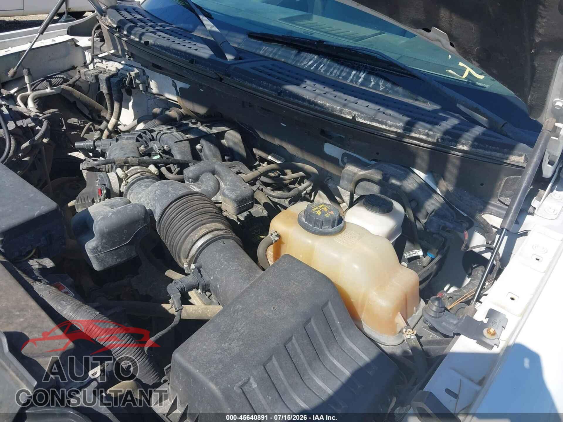 FORD F-150 2013 - 1FTMF1EM5DFB92231