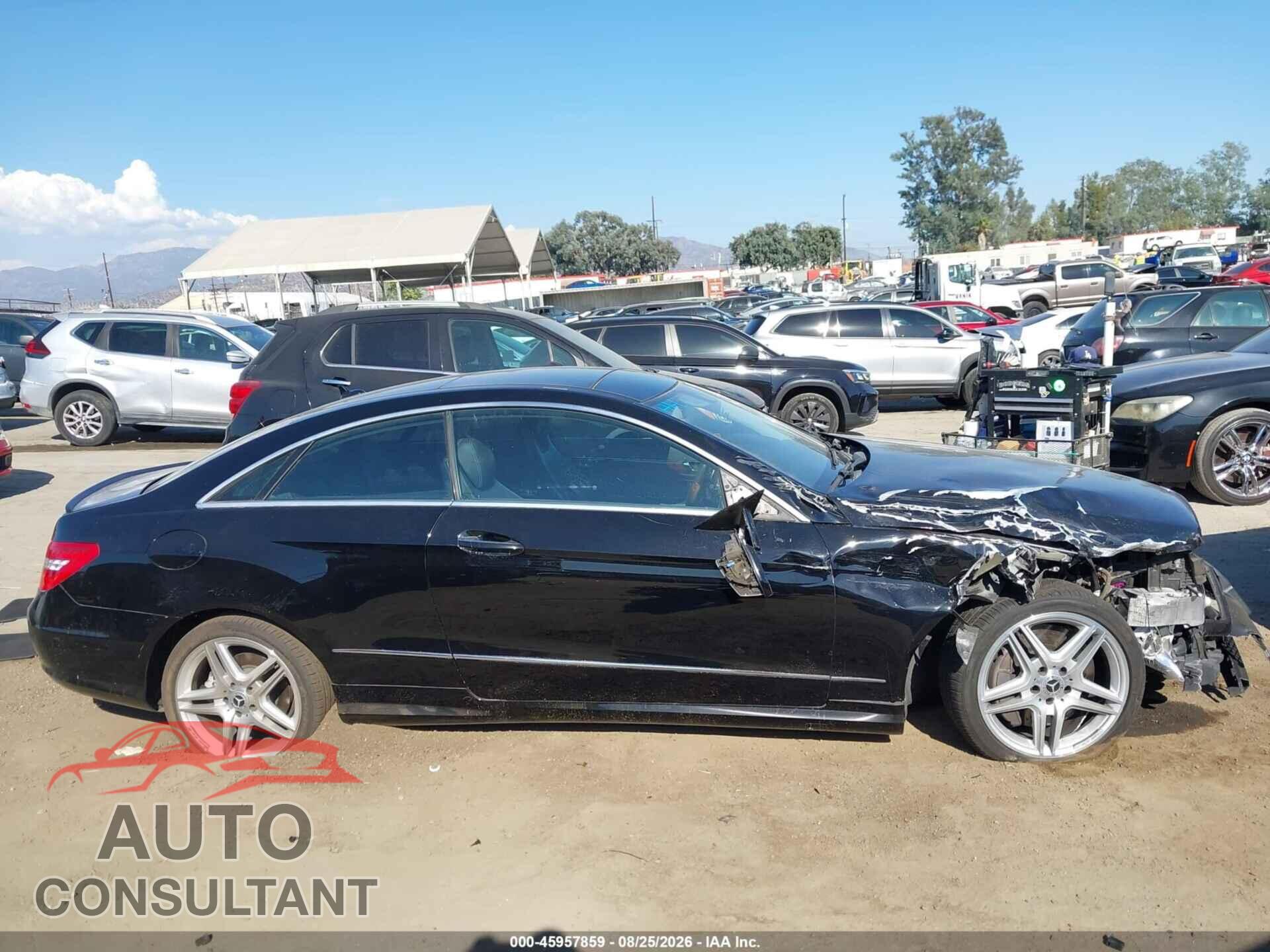 MERCEDES-BENZ E 550 2013 - WDDKJ7DB1DF184111