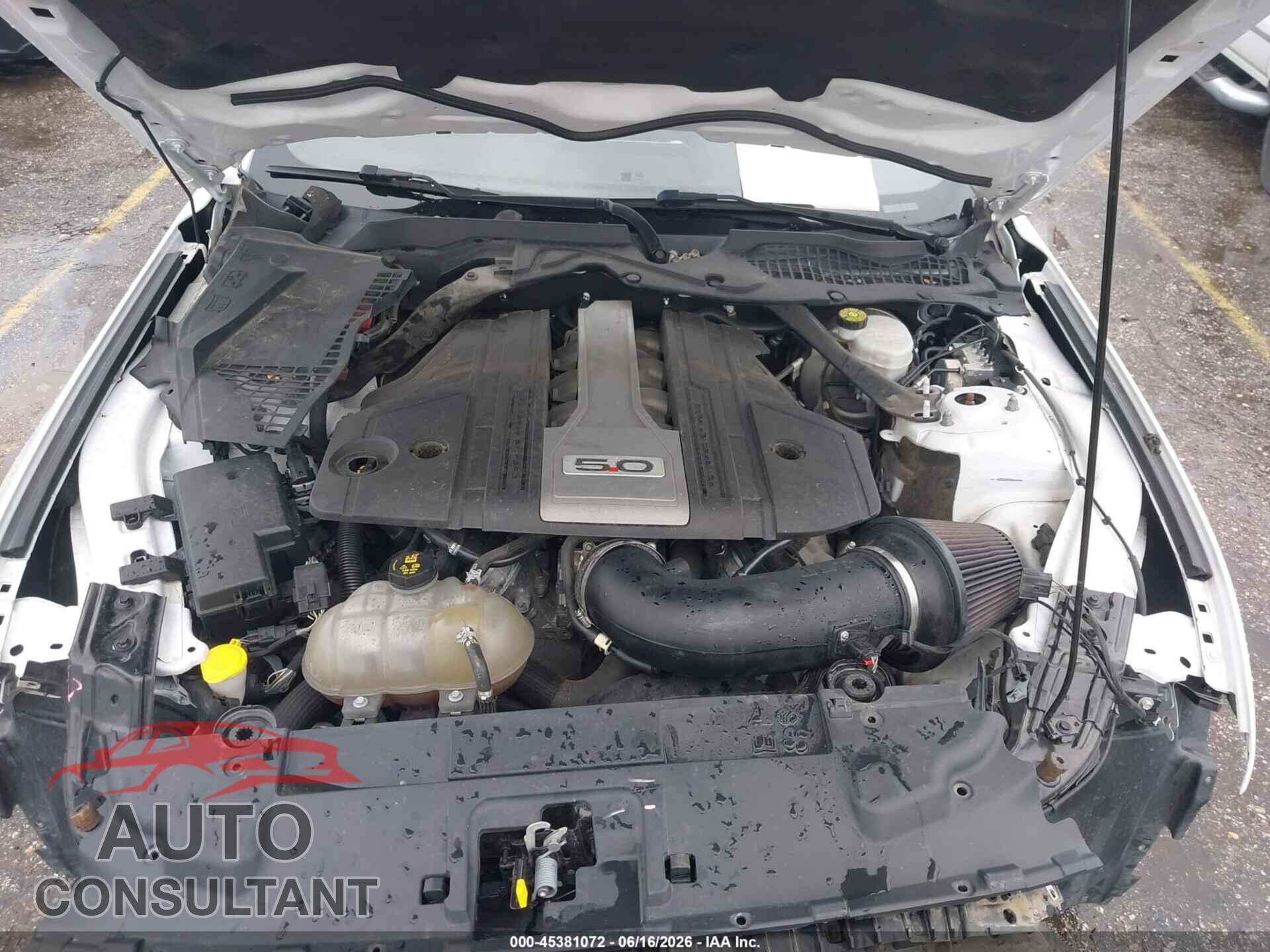 FORD MUSTANG 2019 - 1FA6P8CF0K5152117