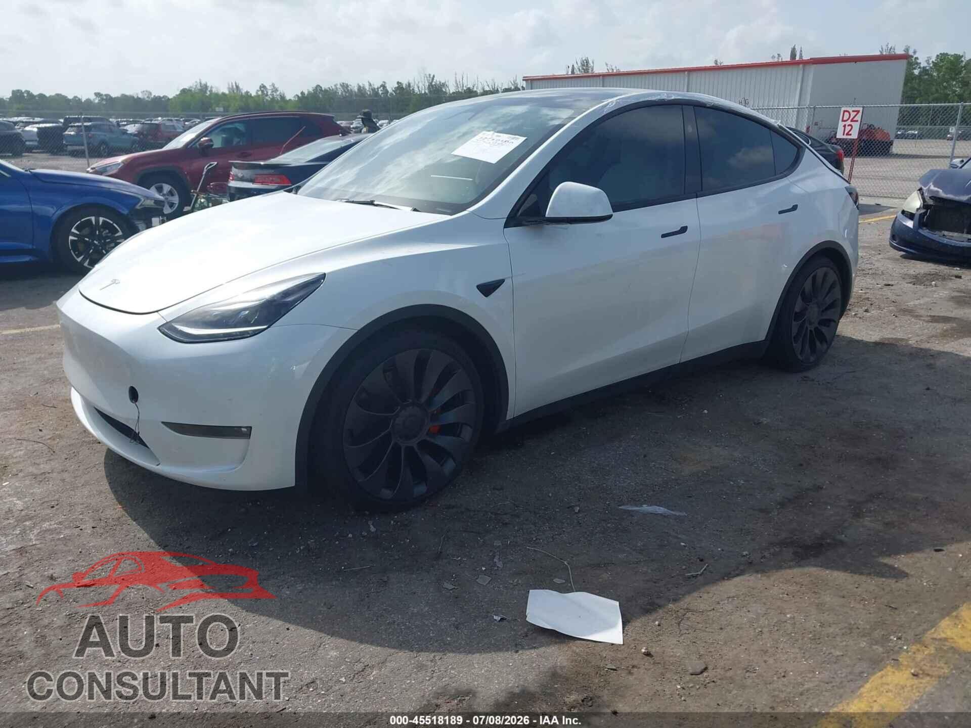 TESLA MODEL Y 2024 - 7SAYGDEF0RF046545