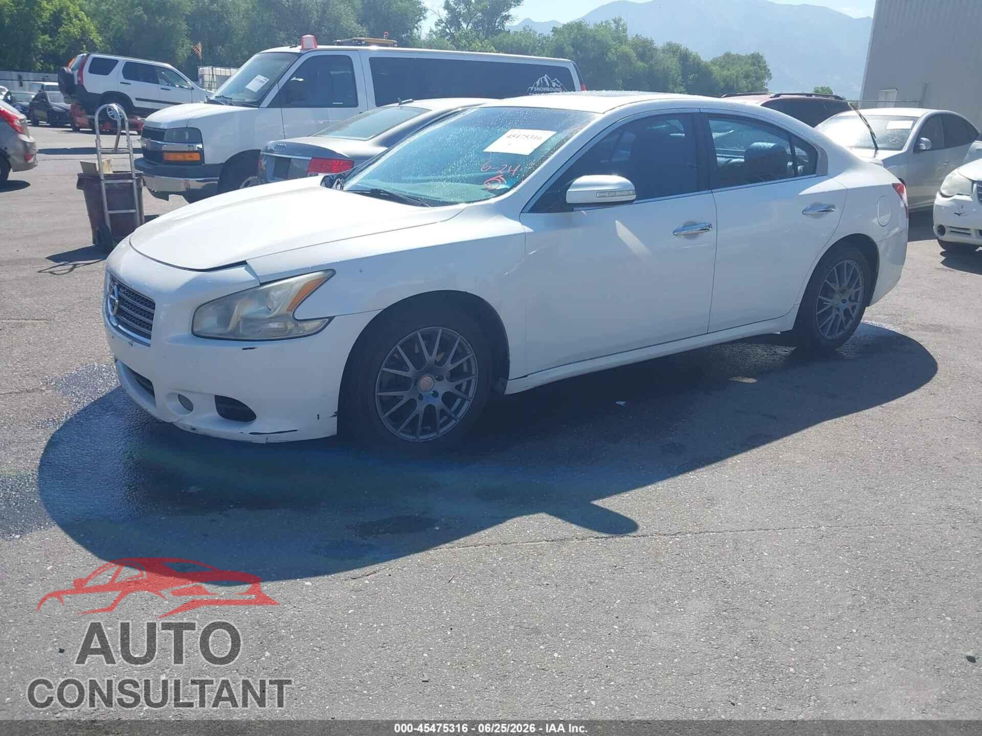 NISSAN MAXIMA 2009 - 1N4AA51E69C815412
