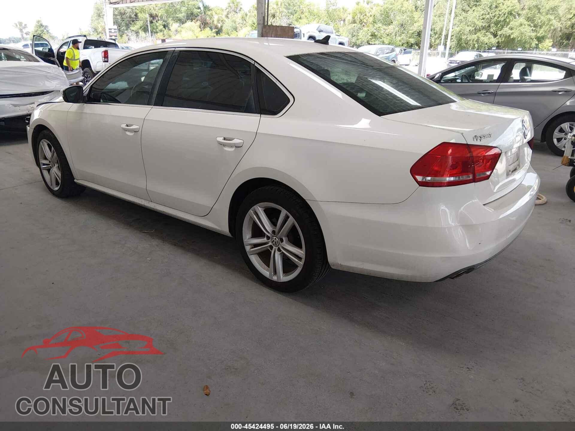 VOLKSWAGEN PASSAT 2014 - 1VWBN7A3XEC052802