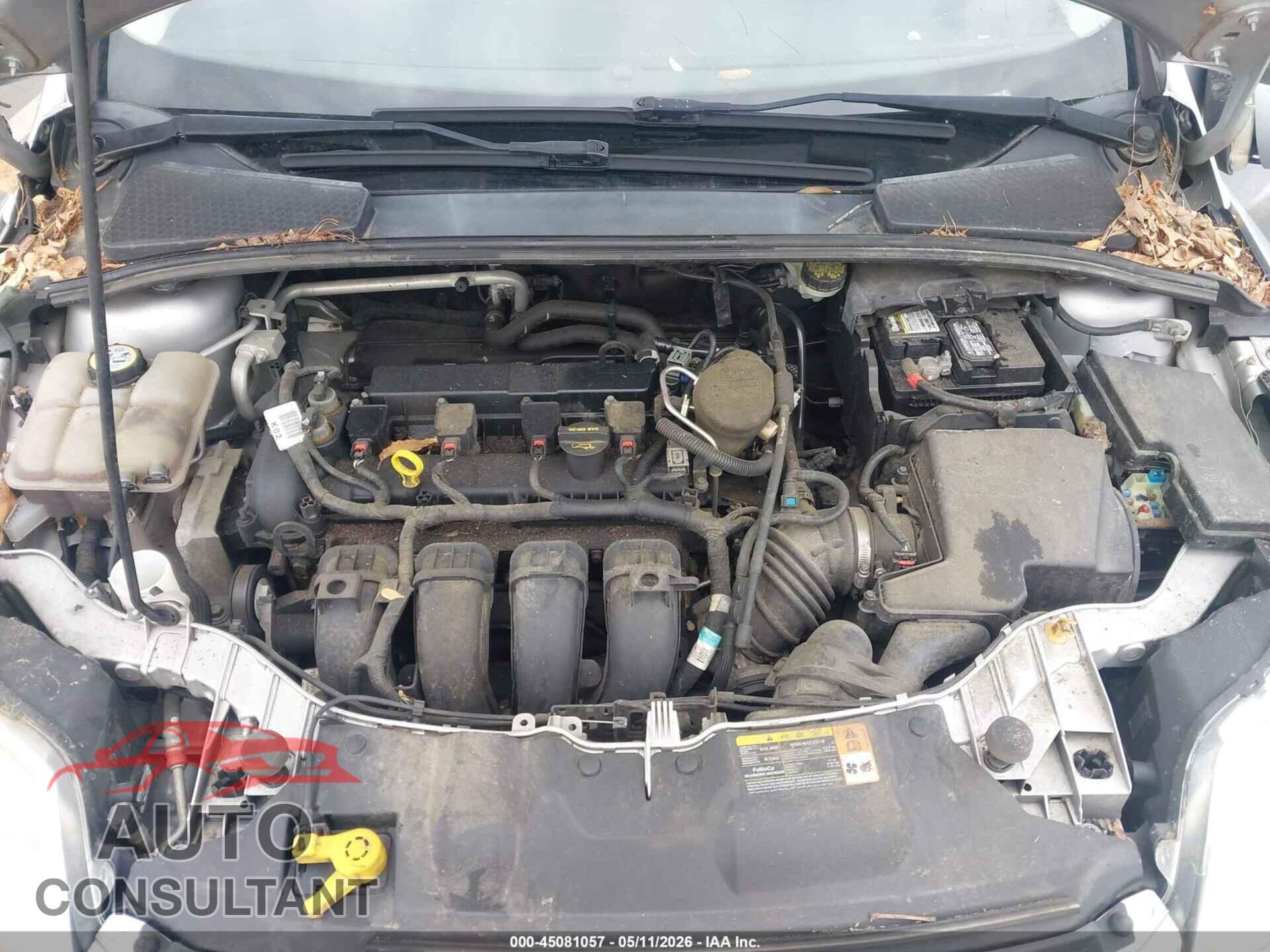 FORD FOCUS 2013 - 1FADP3F21DL341232