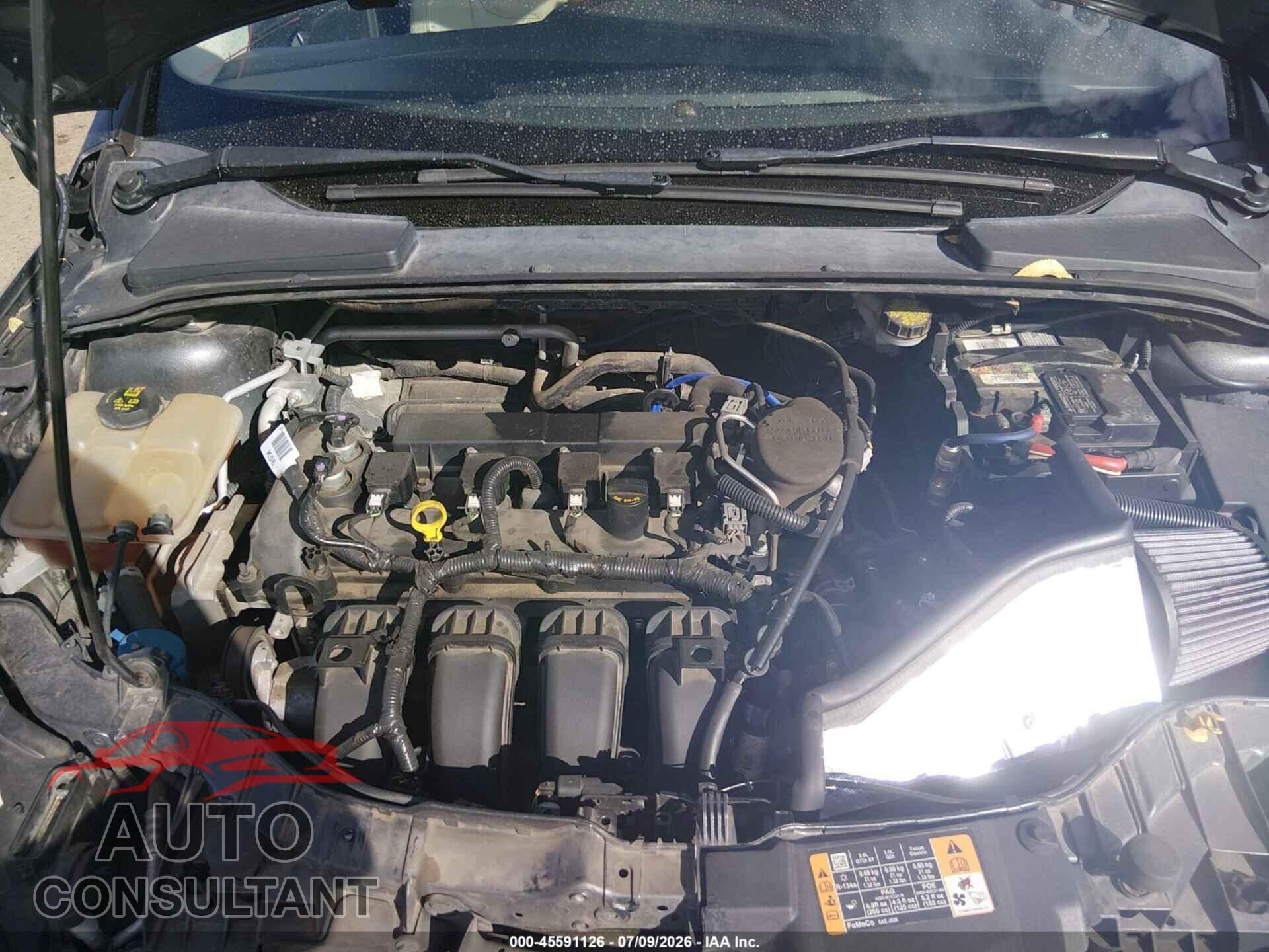 FORD FOCUS 2016 - 1FADP3N29GL315936