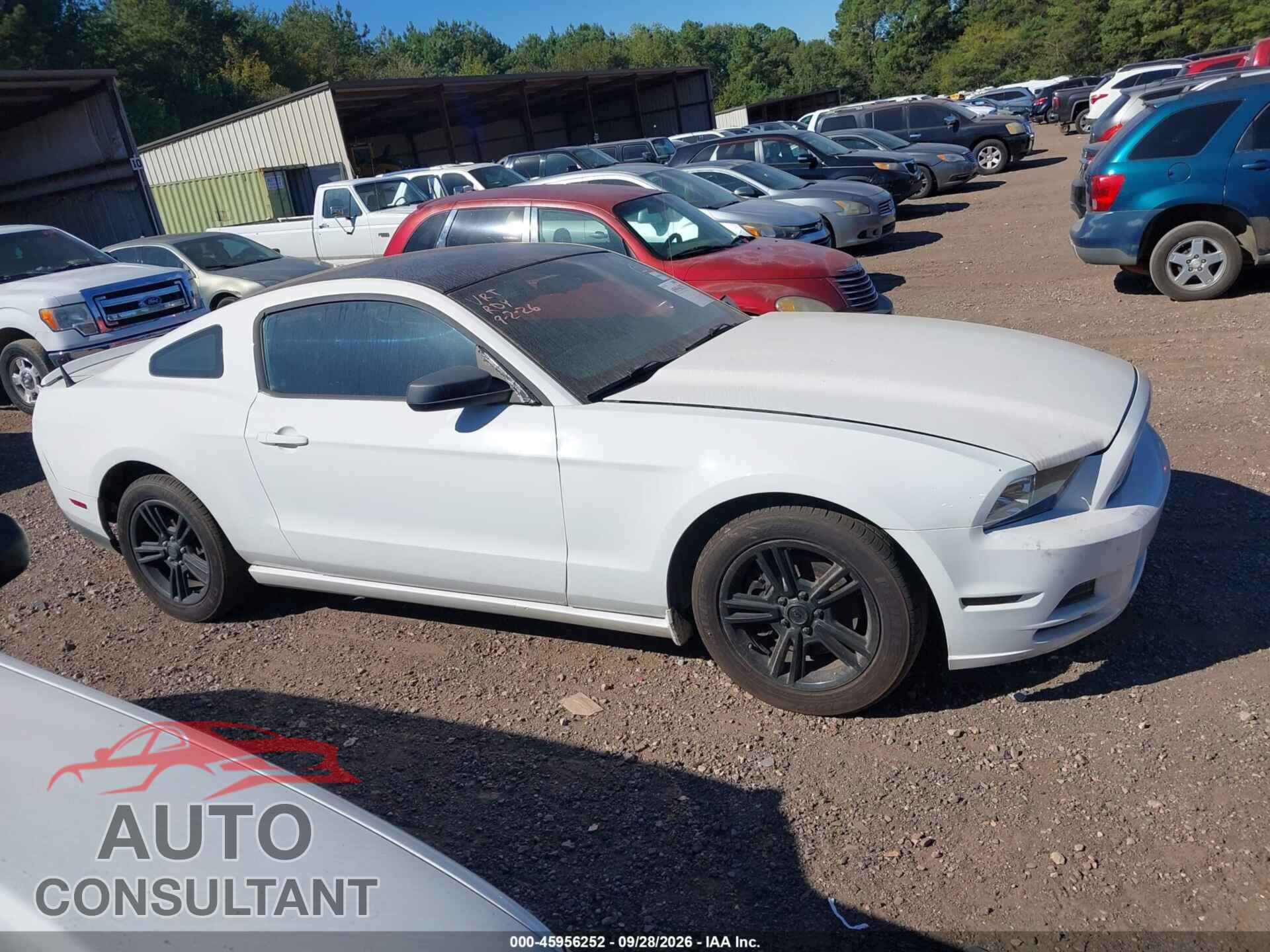 FORD MUSTANG 2013 - 1ZVBP8AMXD5232132