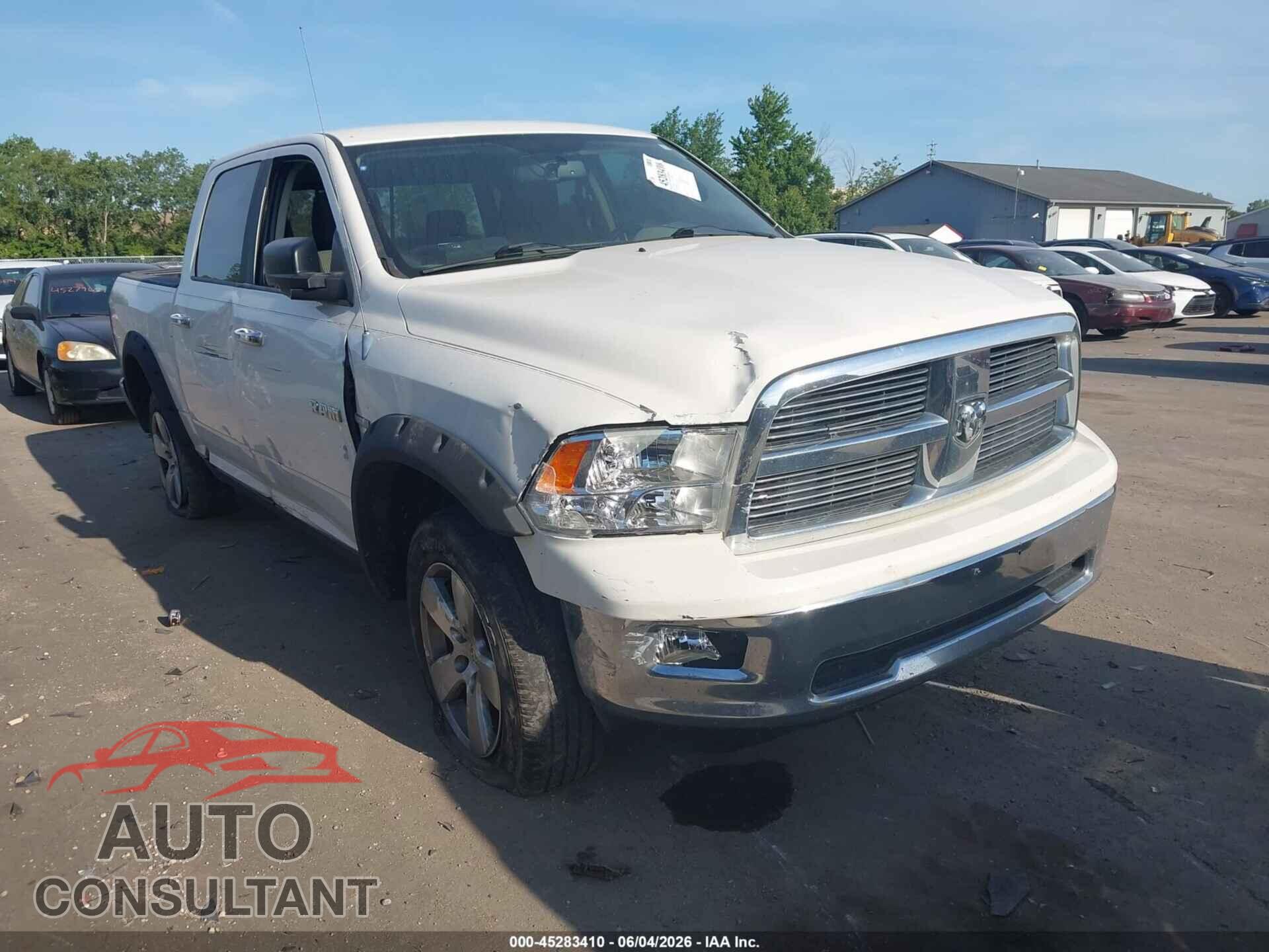 DODGE RAM 1500 2009 - 1D3HB13T89S807741