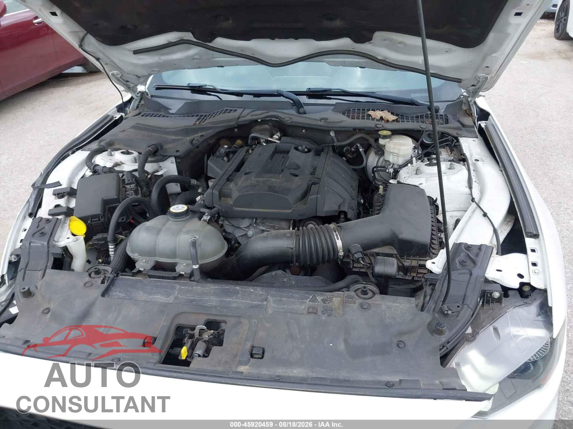 FORD MUSTANG 2018 - 1FA6P8TH3J5163791