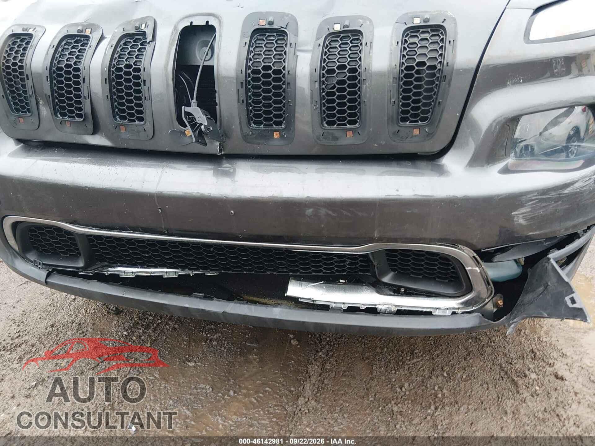 JEEP CHEROKEE 2015 - 1C4PJMDS2FW630073