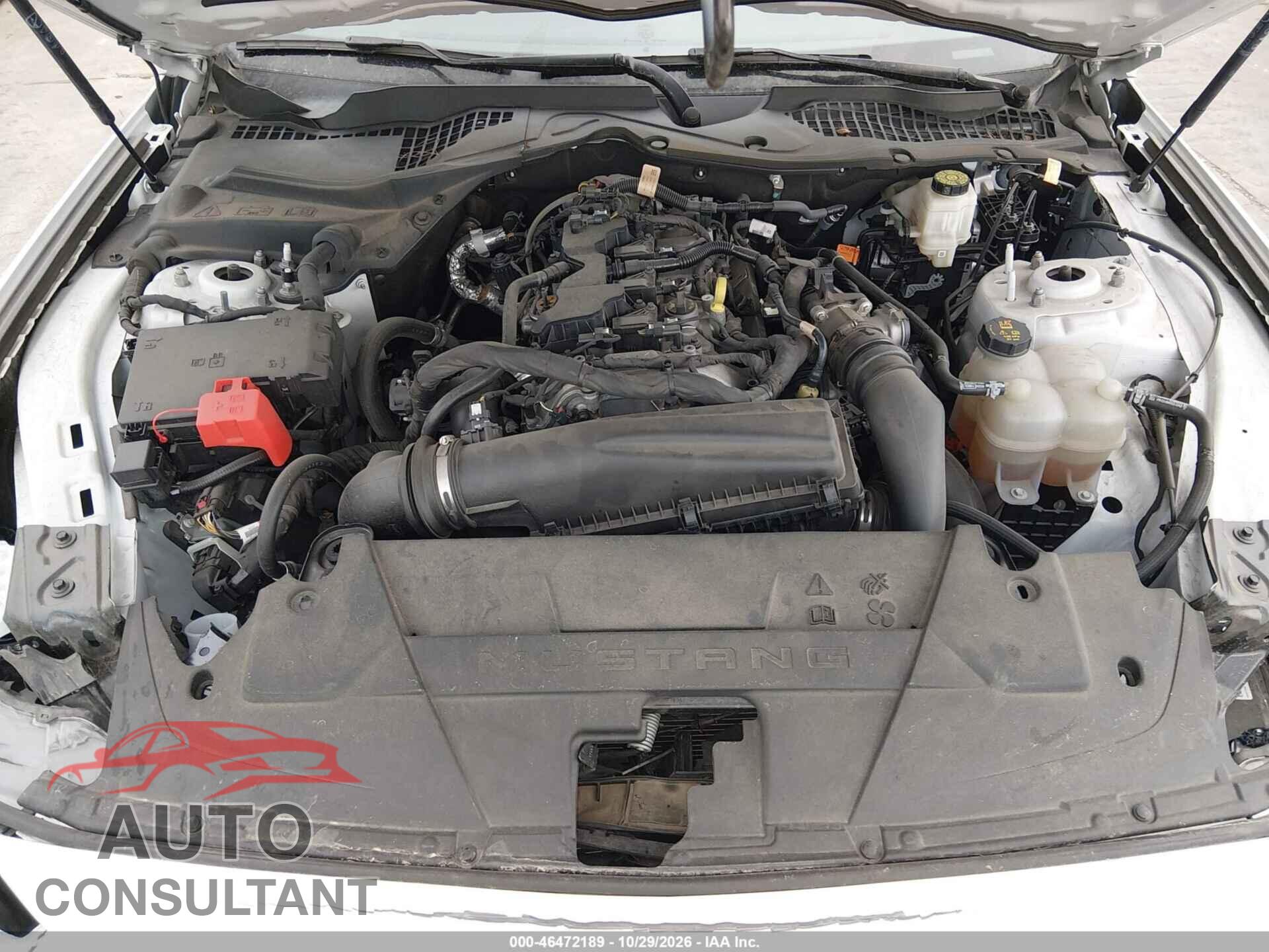 FORD MUSTANG 2024 - 1FA6P8TH3R5111136