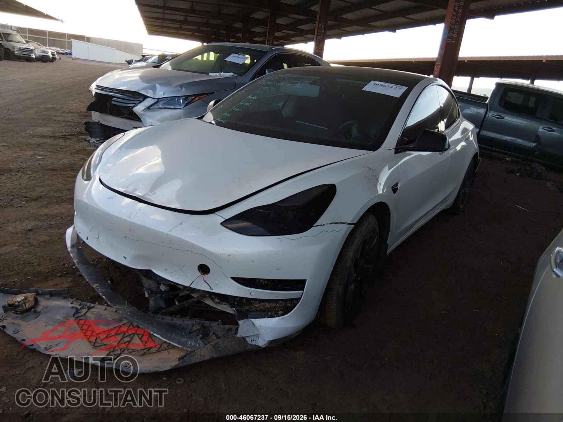 TESLA MODEL 3 2021 - 5YJ3E1EB1MF998052