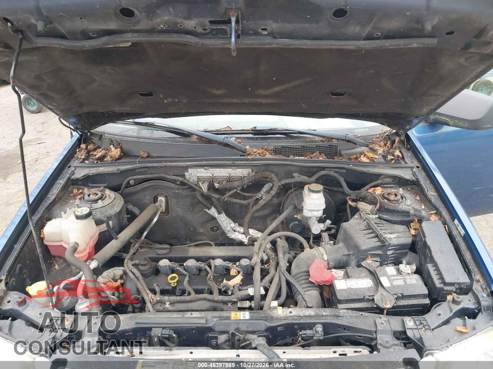 FORD ESCAPE 2010 - 1FMCU9D70AKC16607